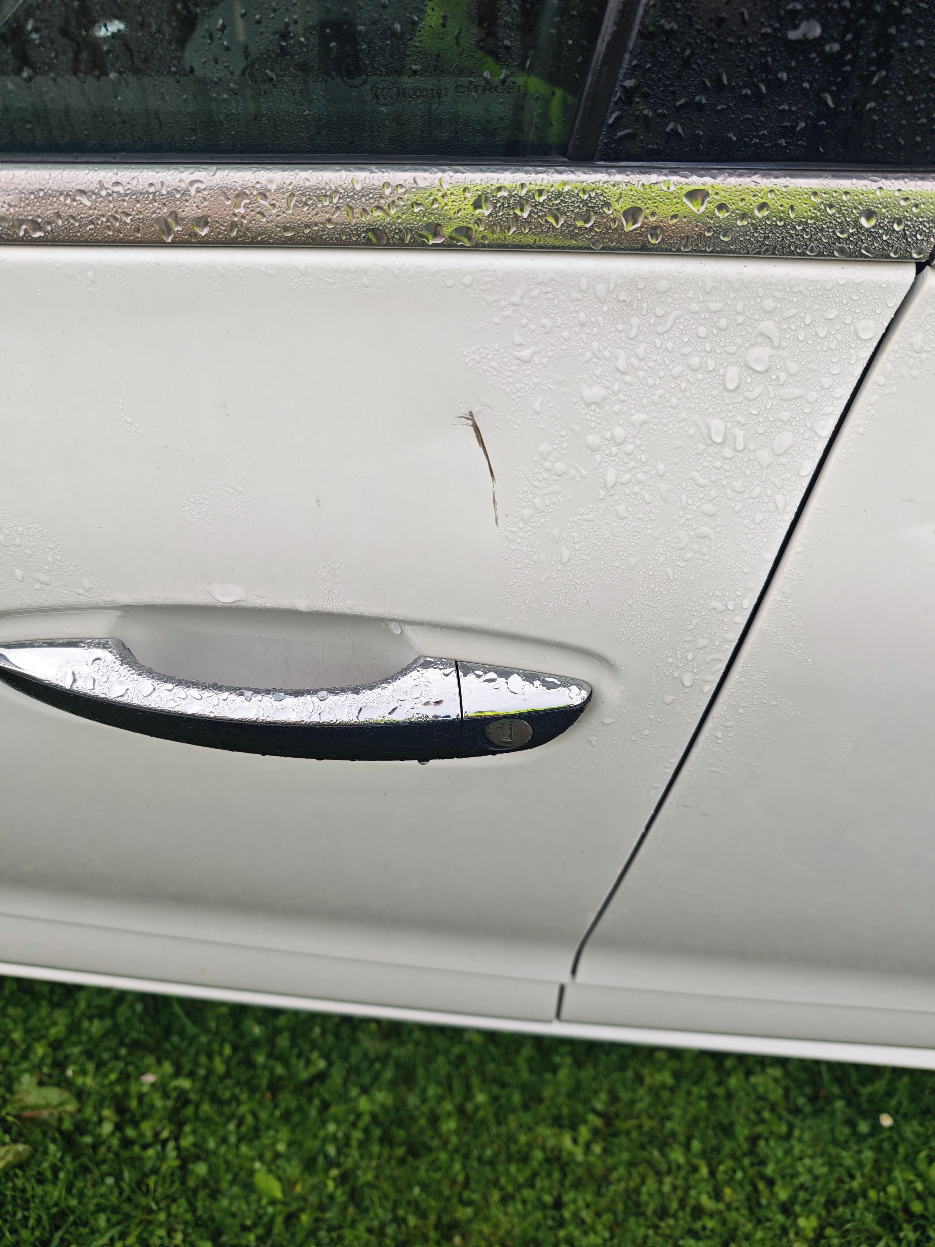 Citroën C4 Picasso, C4 Picasso 2016 - fotka 3