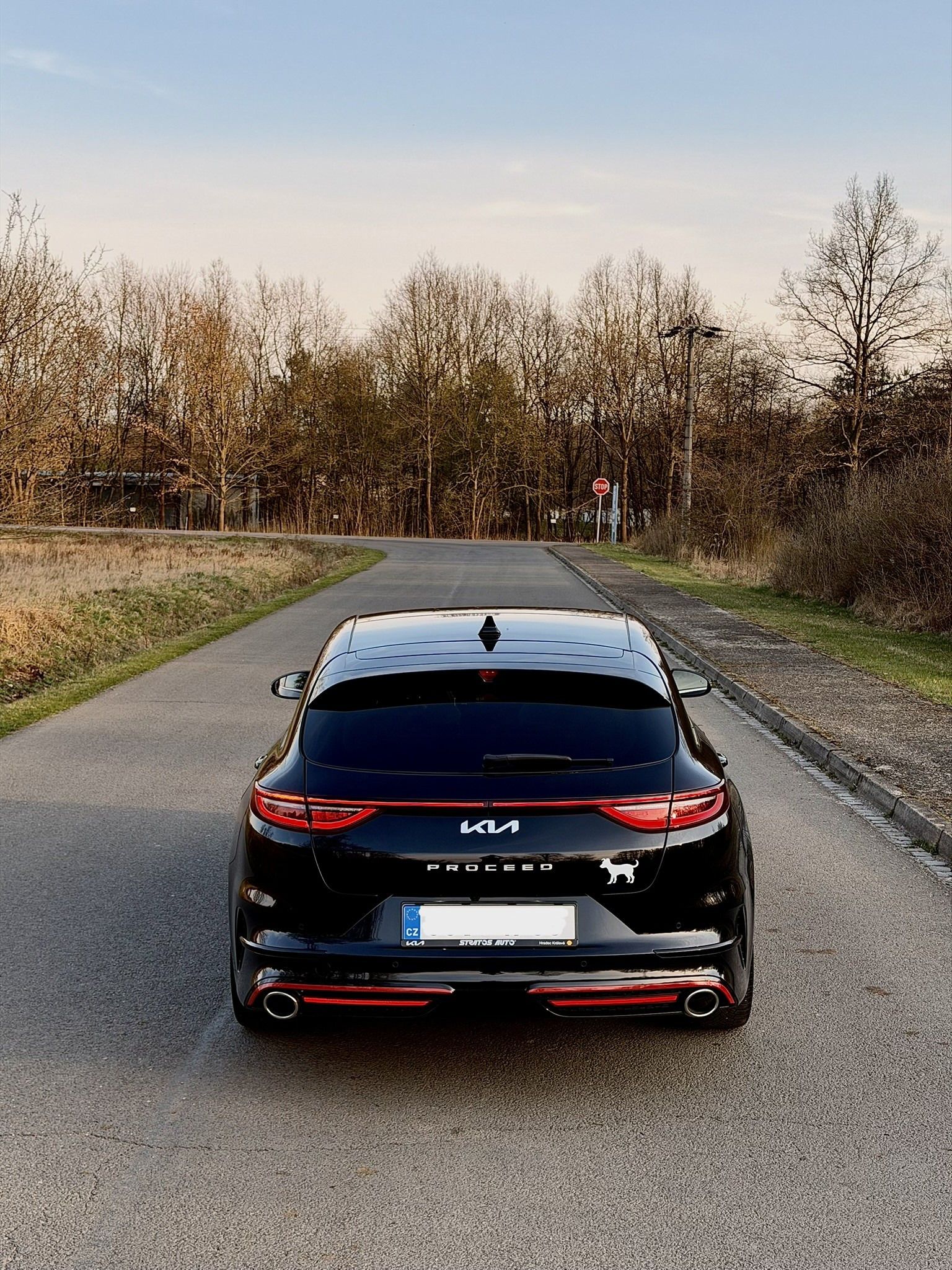 Kia ProCeed, GT - 150KW, automat, panorama - fotka 3