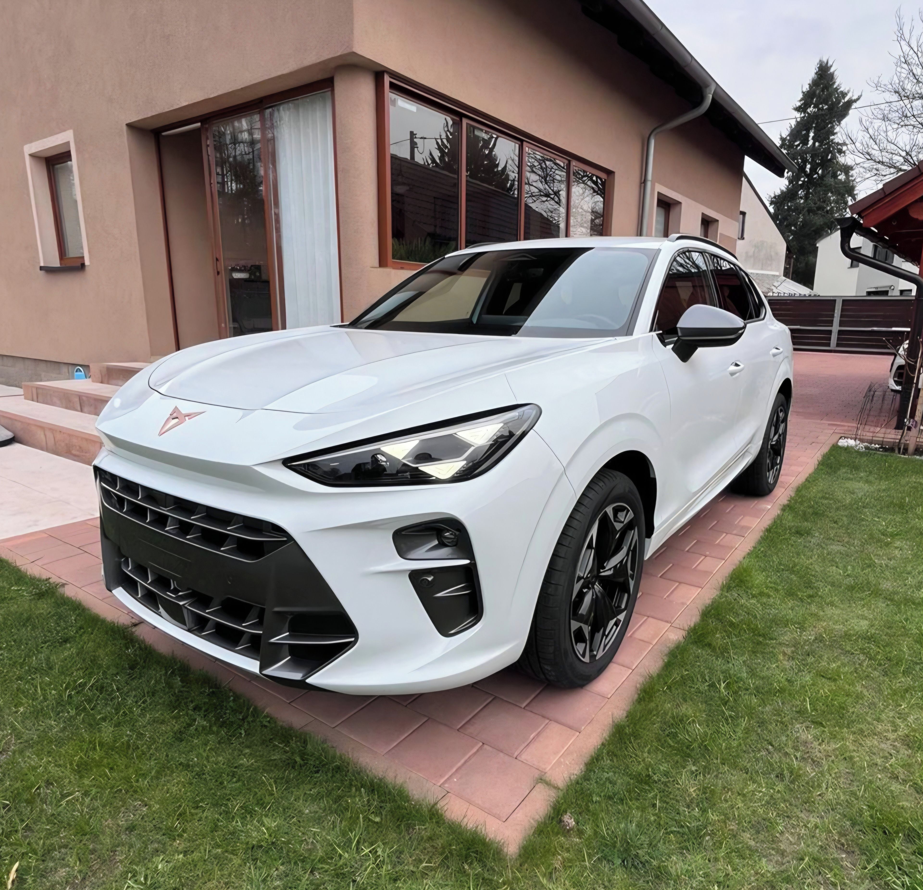 Cupra Terramar, 2.0 Tsi 195kw 4x4 DSG 2025 - fotka 2