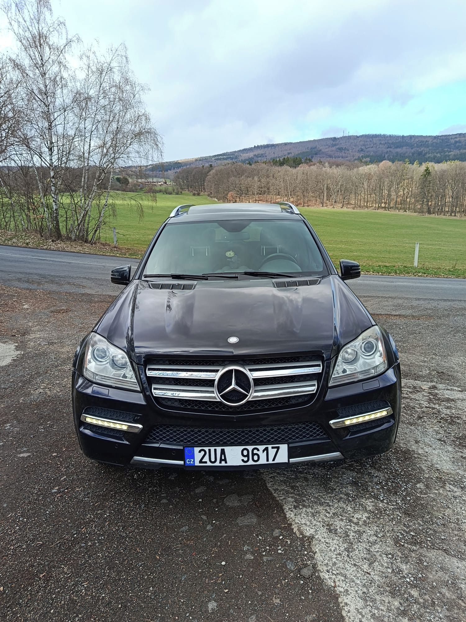 Mercedes-Benz GL, Mercedes Benz GL 350cdi