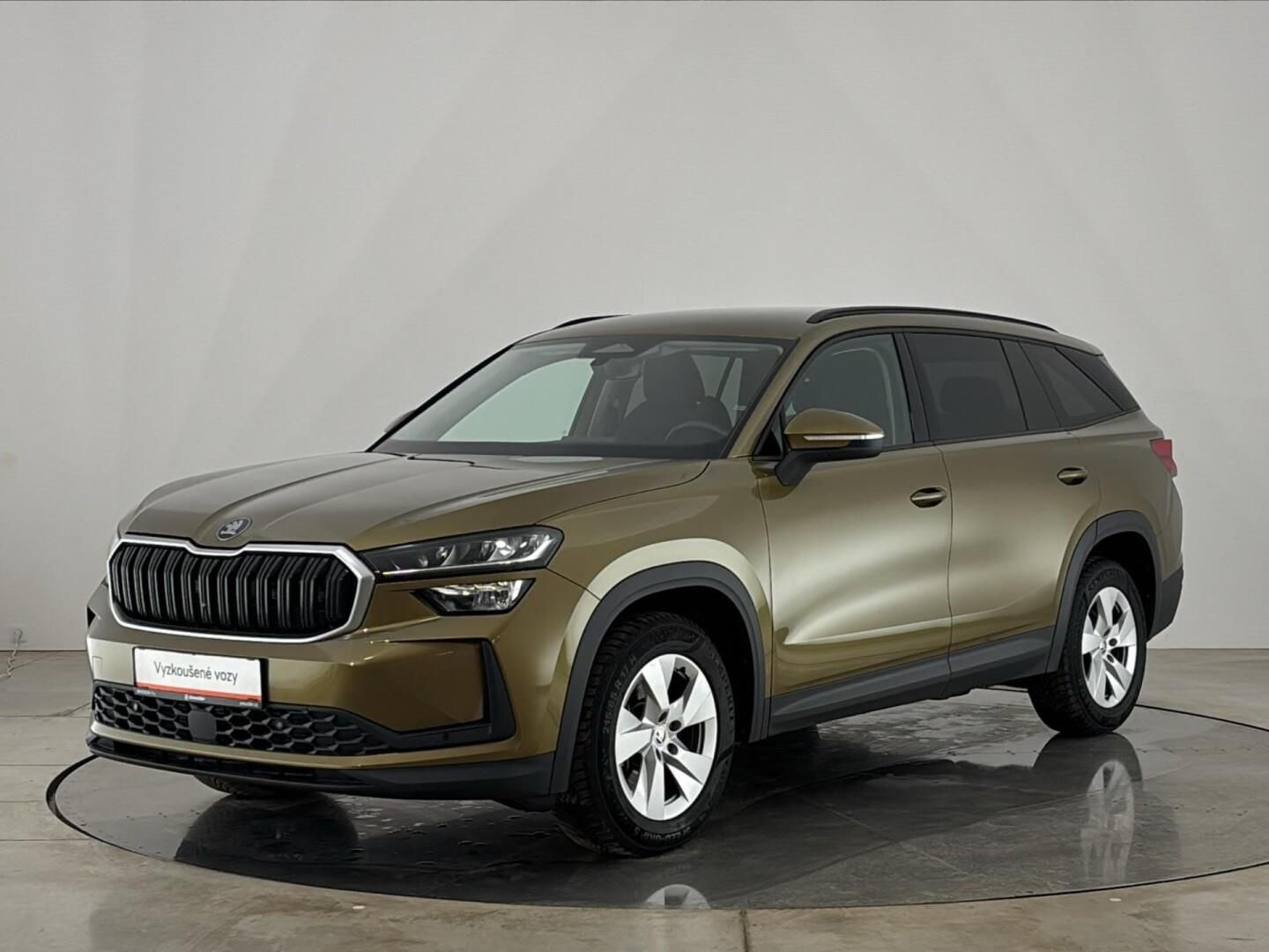 Škoda Kodiaq, 2.0 TDI / 142 kW Selection 4x4