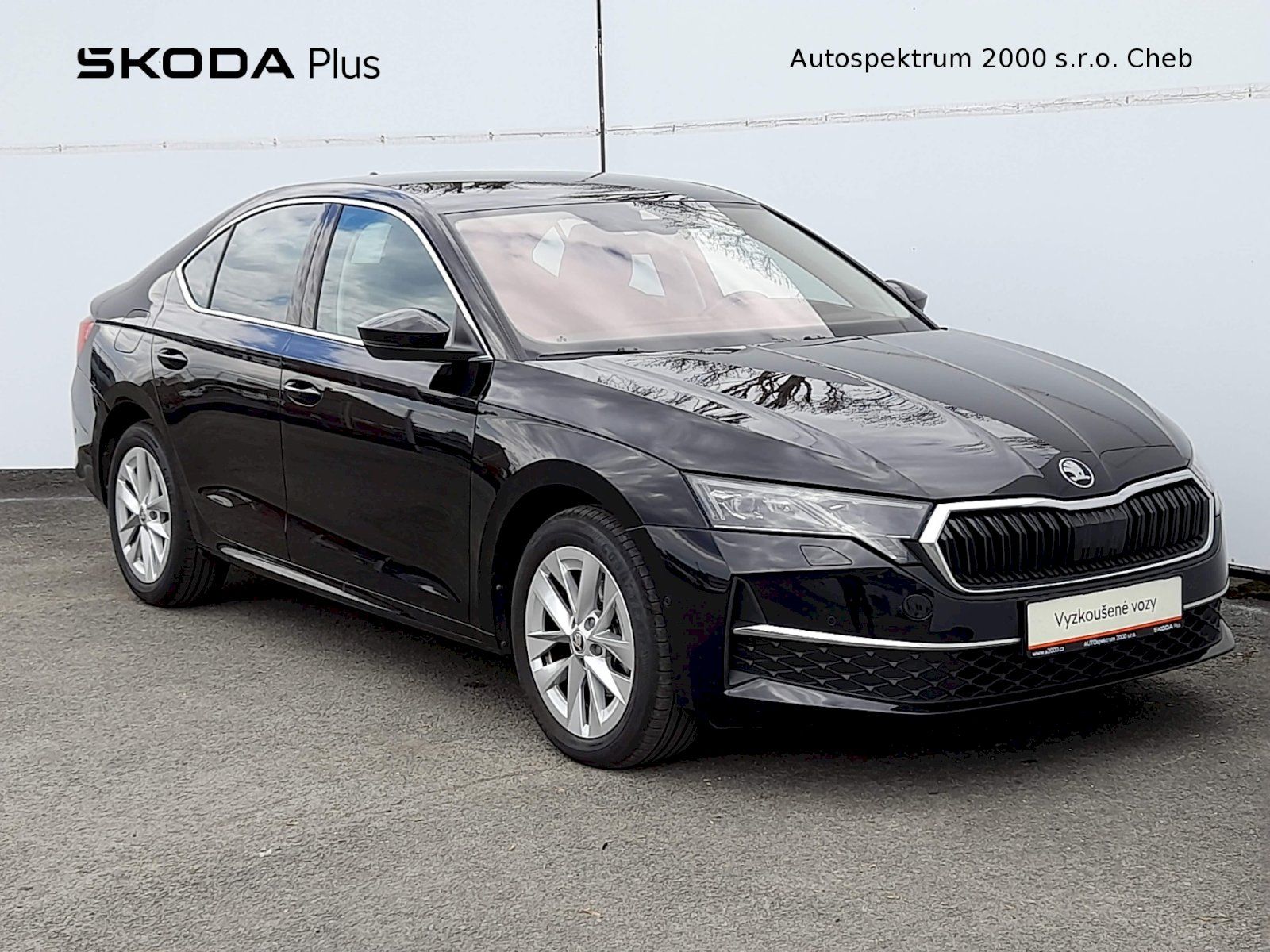 Škoda Octavia, Top Selection 2.0 TDI 110kW 7A - fotka 6