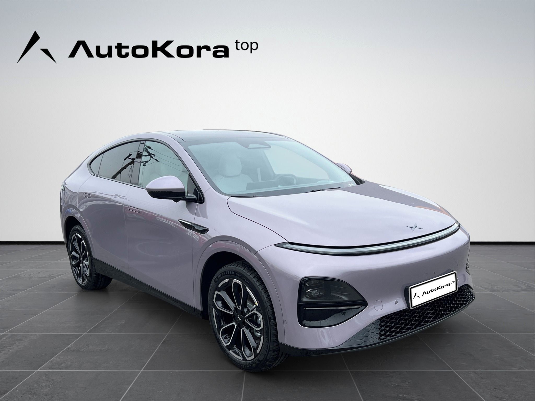 XPENG G6, AWD Performance, 358kW