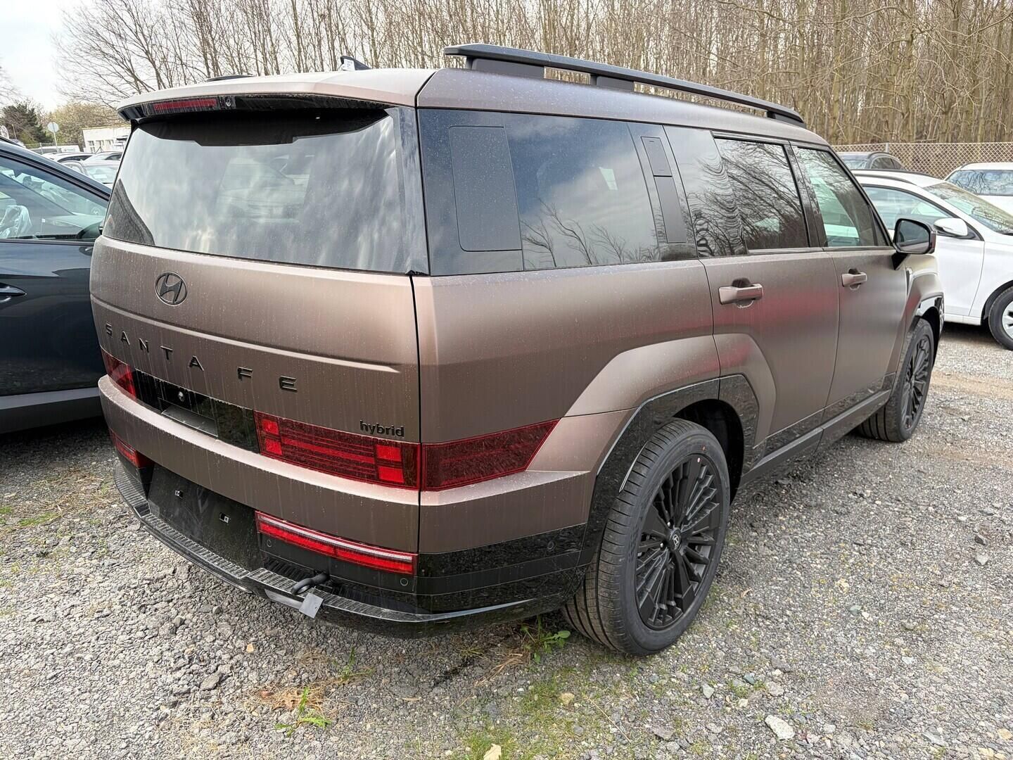 Hyundai Santa Fe, HEV MX5 Calligraphy 1,6 T-GDI - fotka 4
