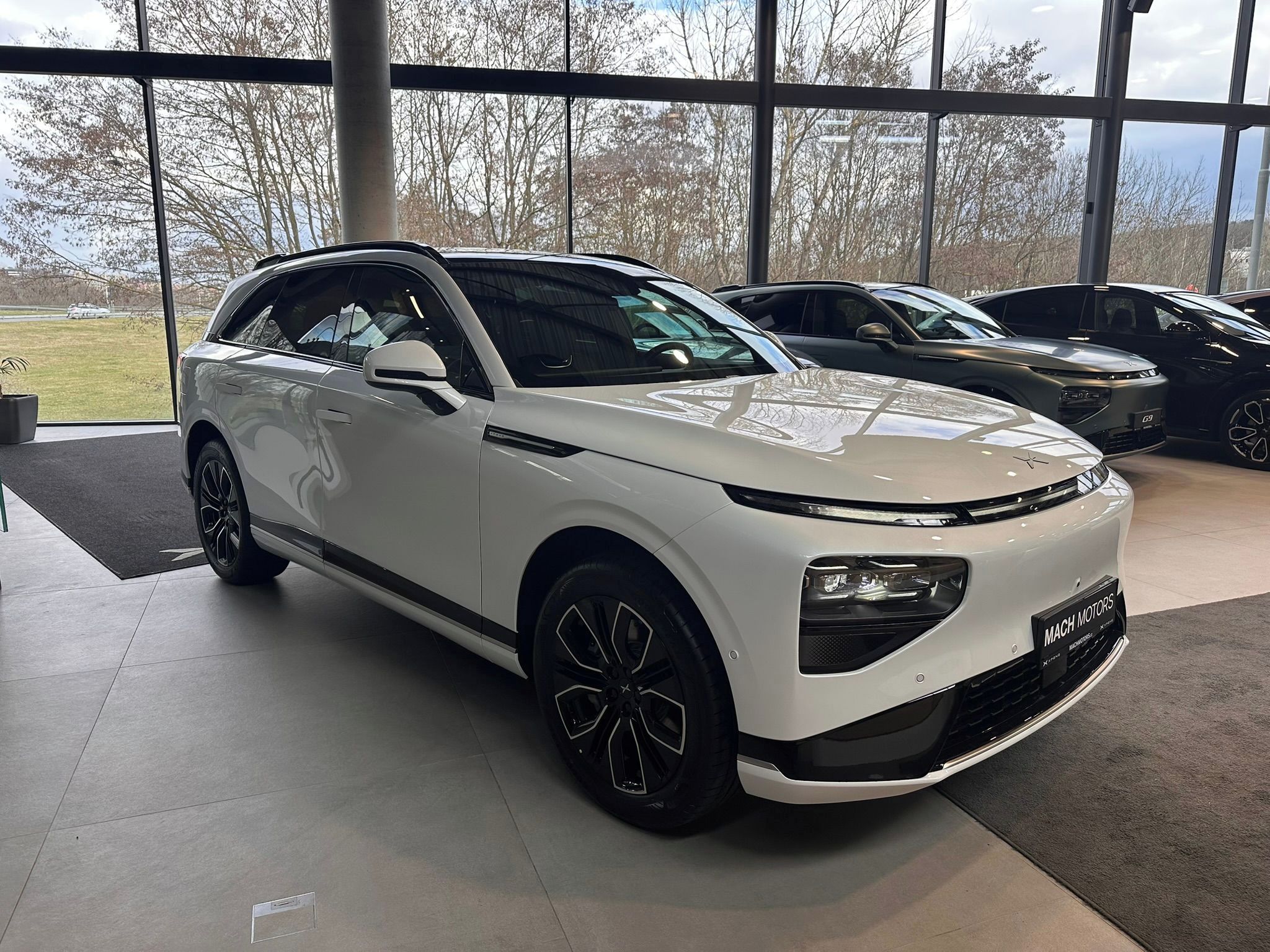 XPENG G9, RWD Long Range