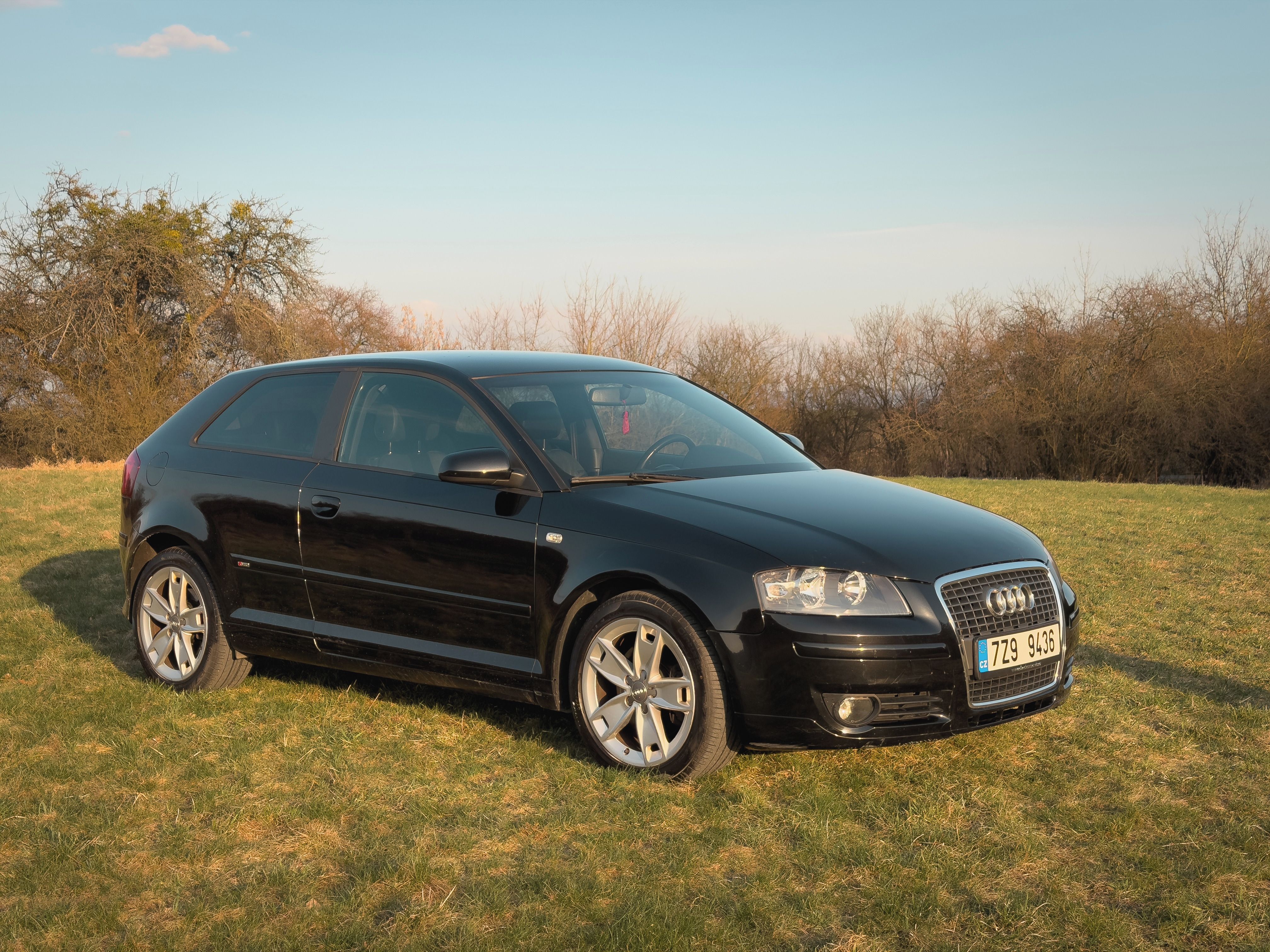Audi A3, Audi A3 8P 2.0 TFSI 147kW 6MT - fotka 3