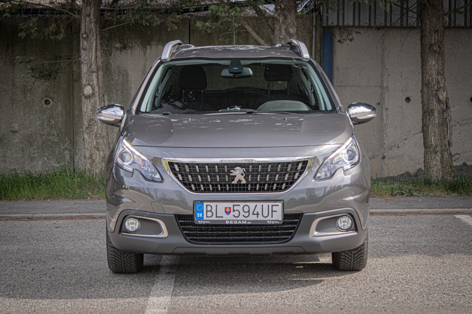 Peugeot 2008 - fotka 2