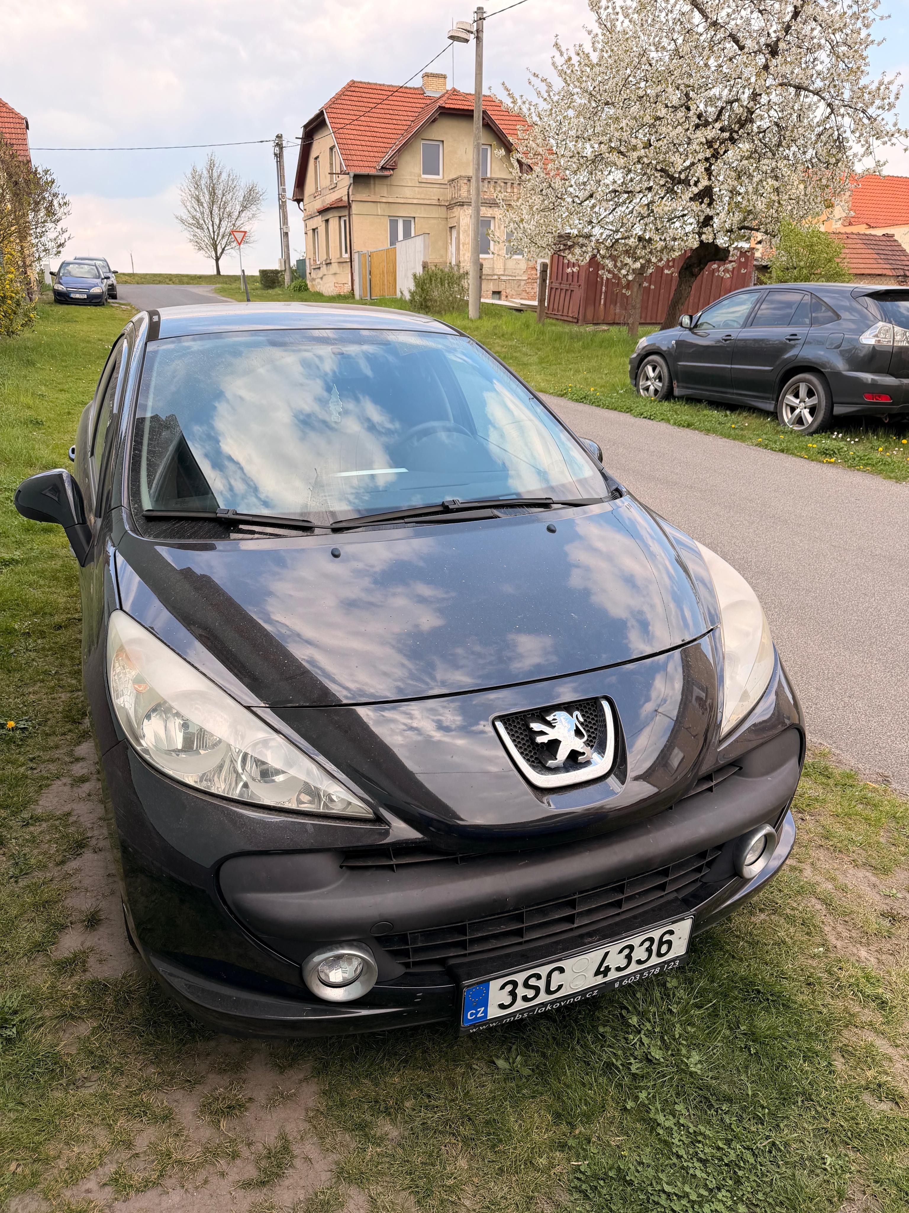 Peugeot 207, Peugeot 207