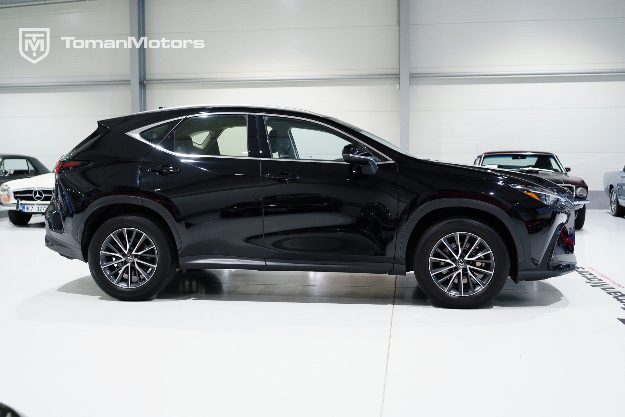 Lexus NX 350h, Hybrid 2.5 E-CVT Comfort Top - fotka 4