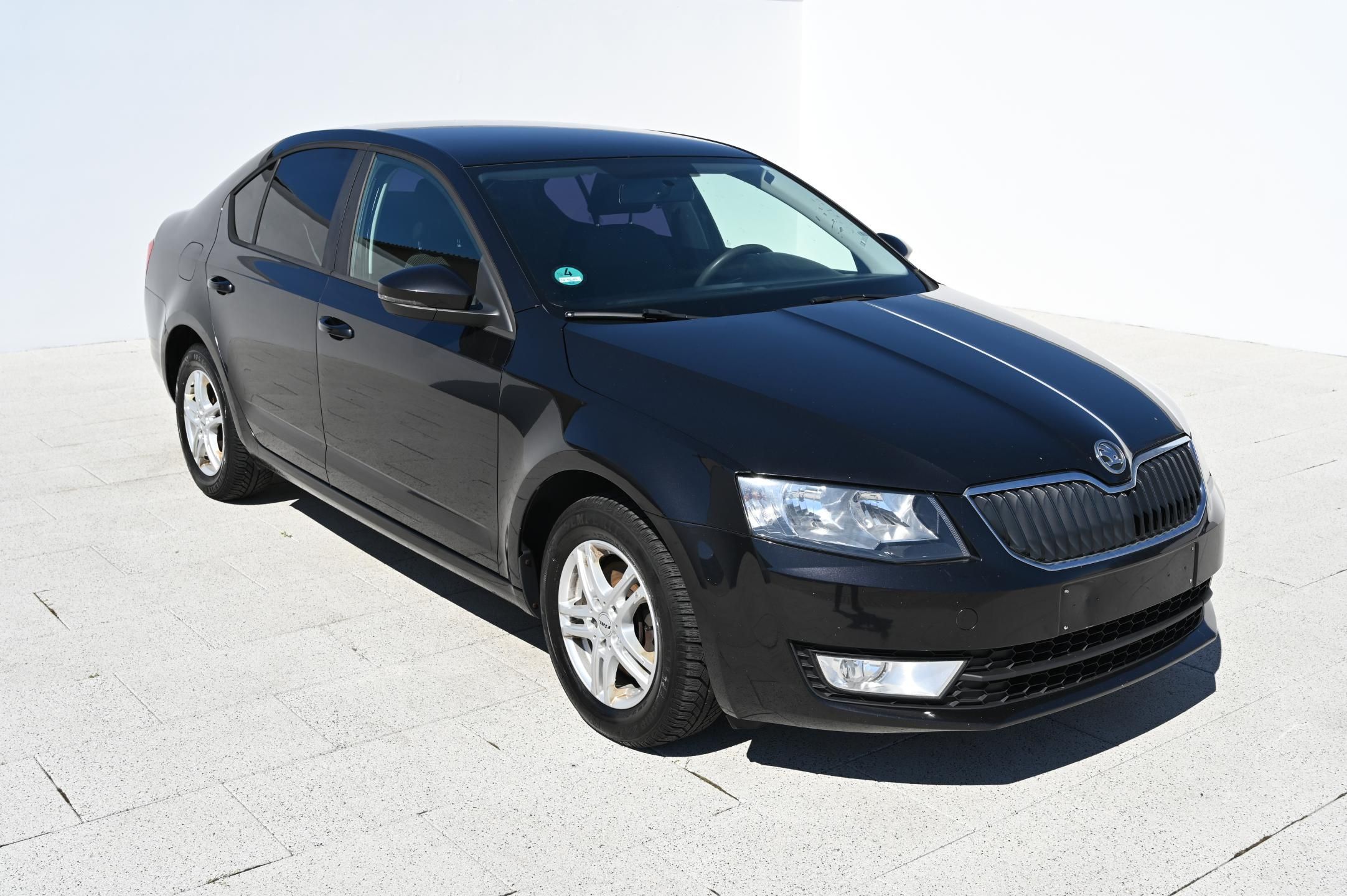 Škoda Octavia, 1.6TDI 77KW Ambition 1/2013 - fotka 3
