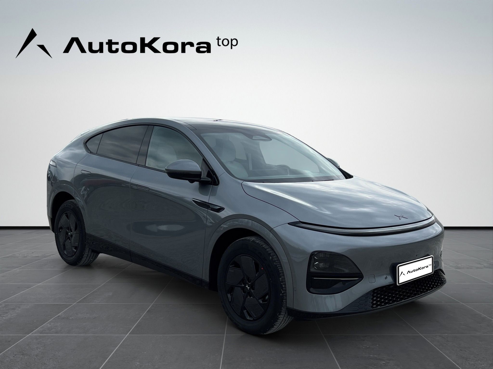 XPENG G6, RWD Long Range, 218kW