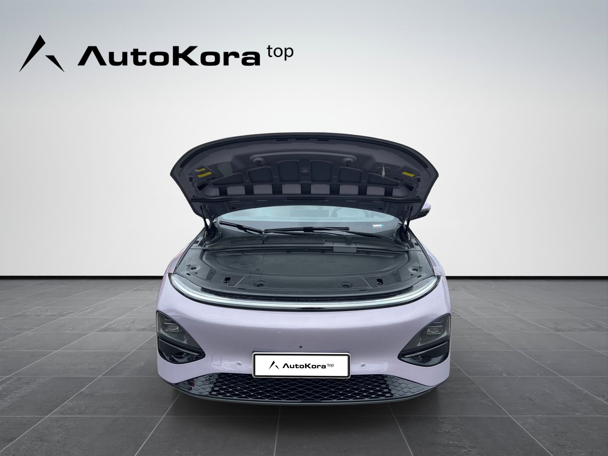 XPENG G6, AWD Performance, 358kW - fotka 3