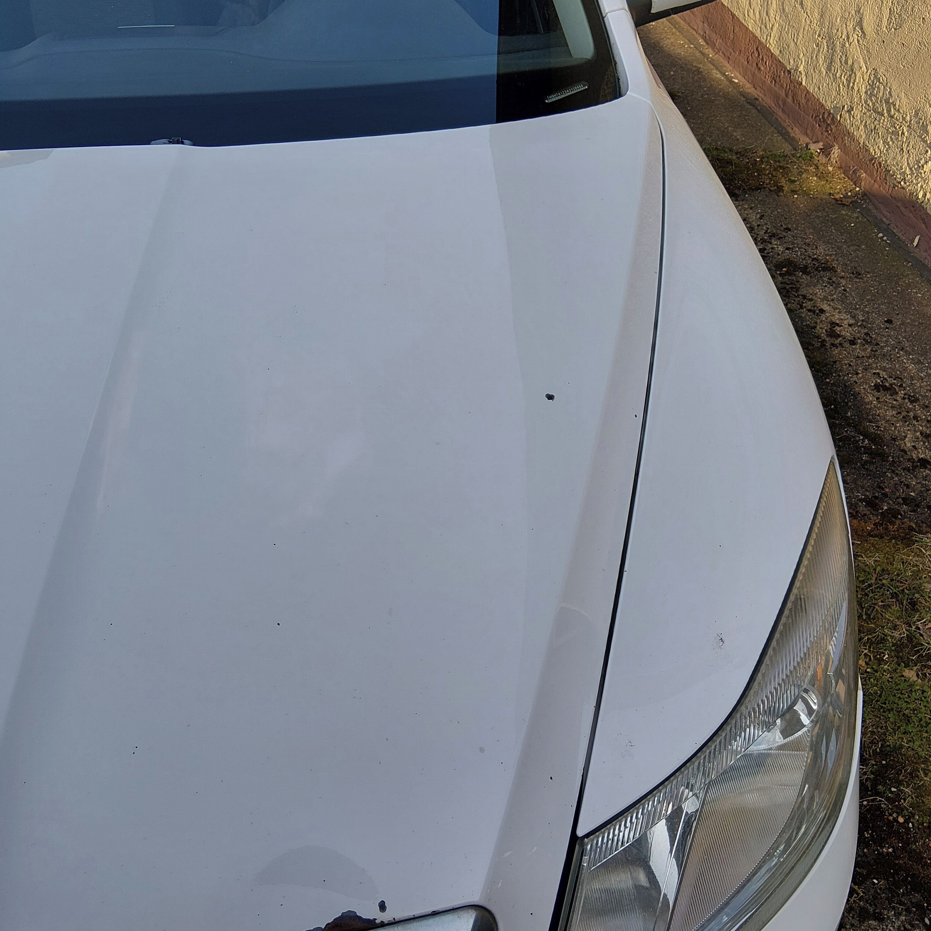 Škoda Octavia, ŠKODA OCTAVIA 1.6 TDI 77KW - fotka 6