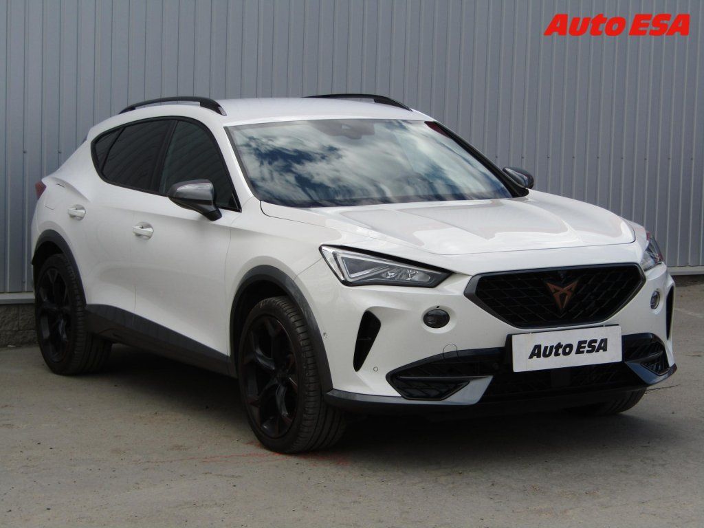 Cupra Formentor, 2.0 TSi,AT,STK3/28
