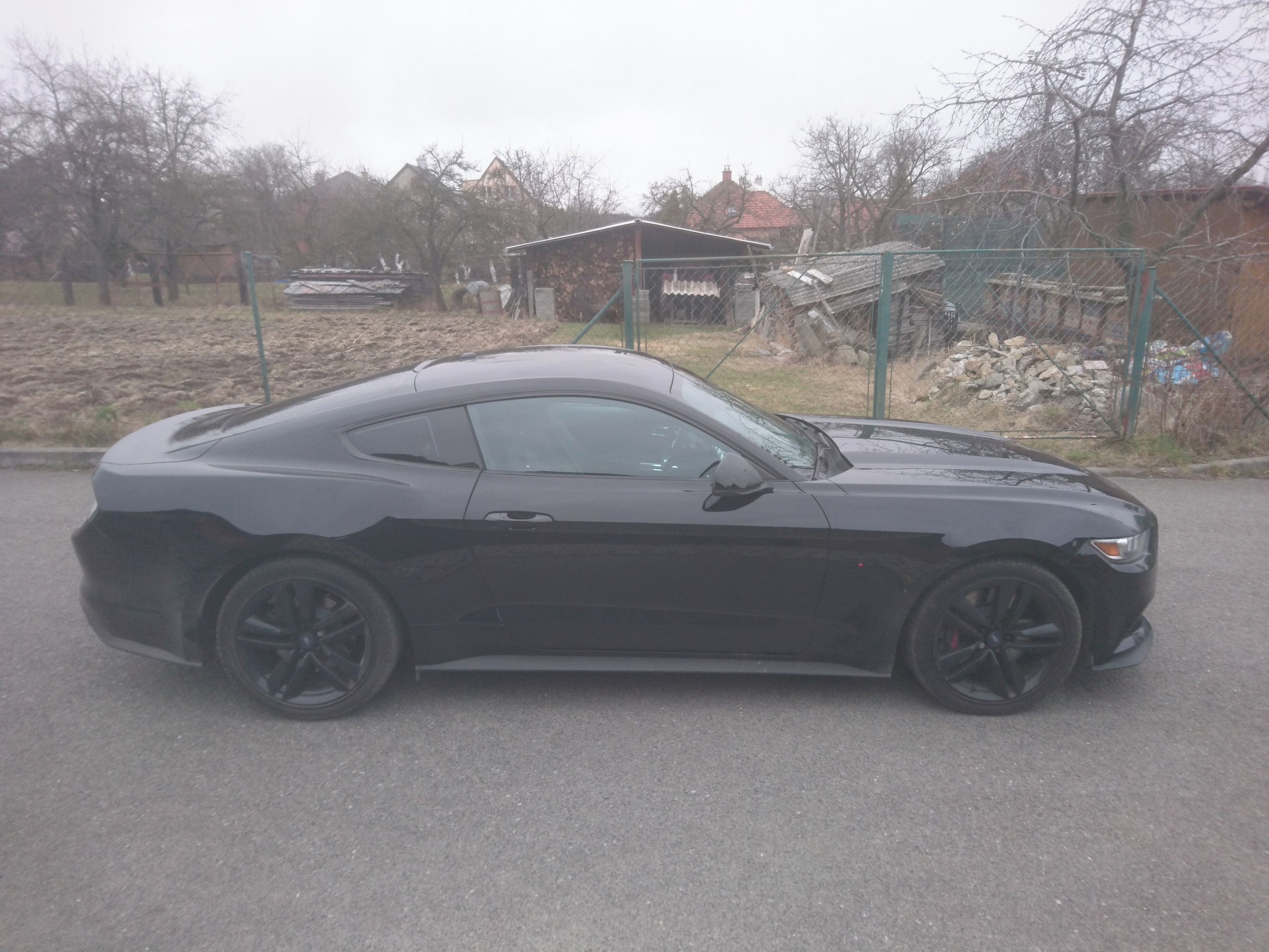 Ford Mustang, 5.0 - fotka 4
