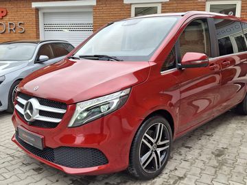 V300D-AMG-4M-AVANT-R19-NEZ.TOP