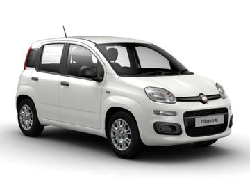 Pandina ICON 1.0BSG Hybrid 65k