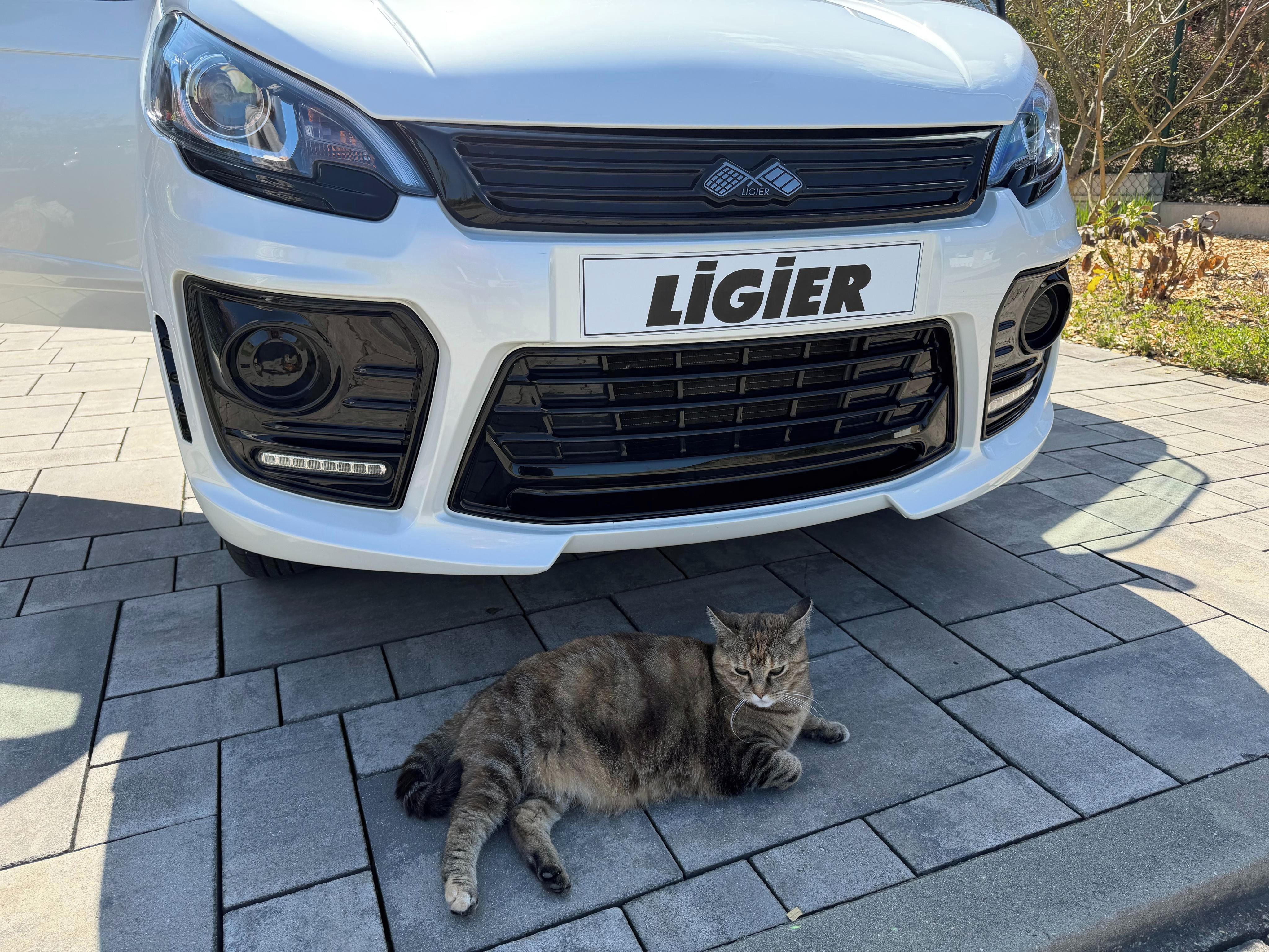 Ligier JS 50, Ligier JS 50 Sport - DPH - fotka 6