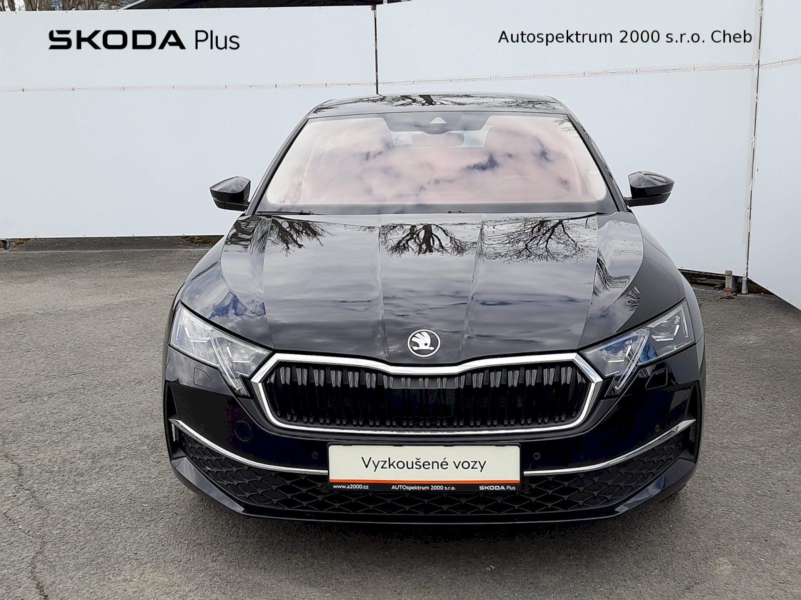 Škoda Octavia, Top Selection 2.0 TDI 110kW 7A - fotka 4