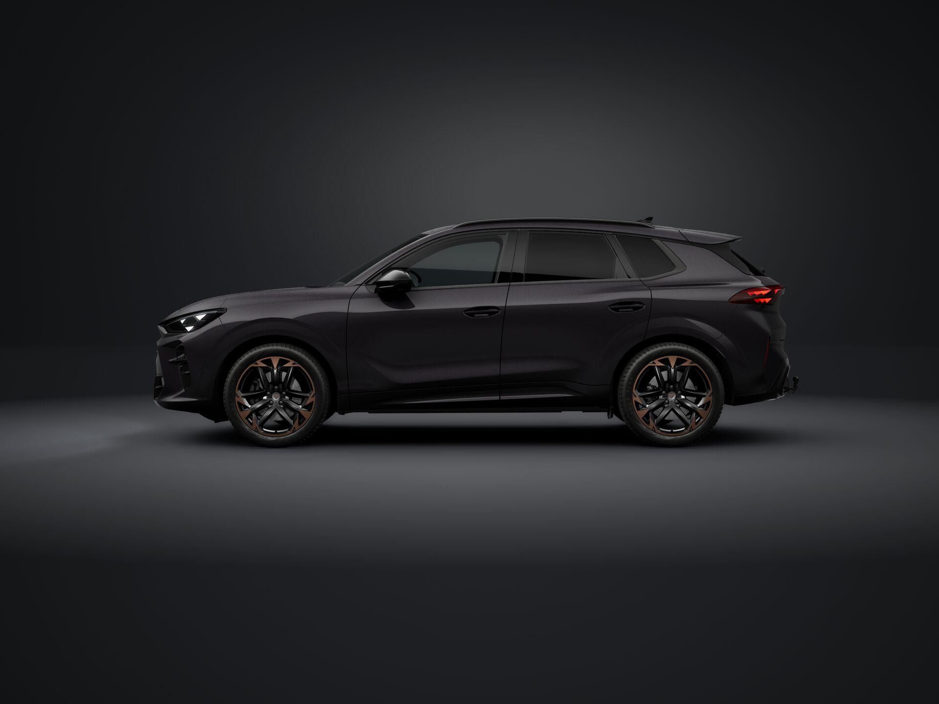 Cupra Terramar, 2.0 TSI 204k DSG 4WD - fotka 2