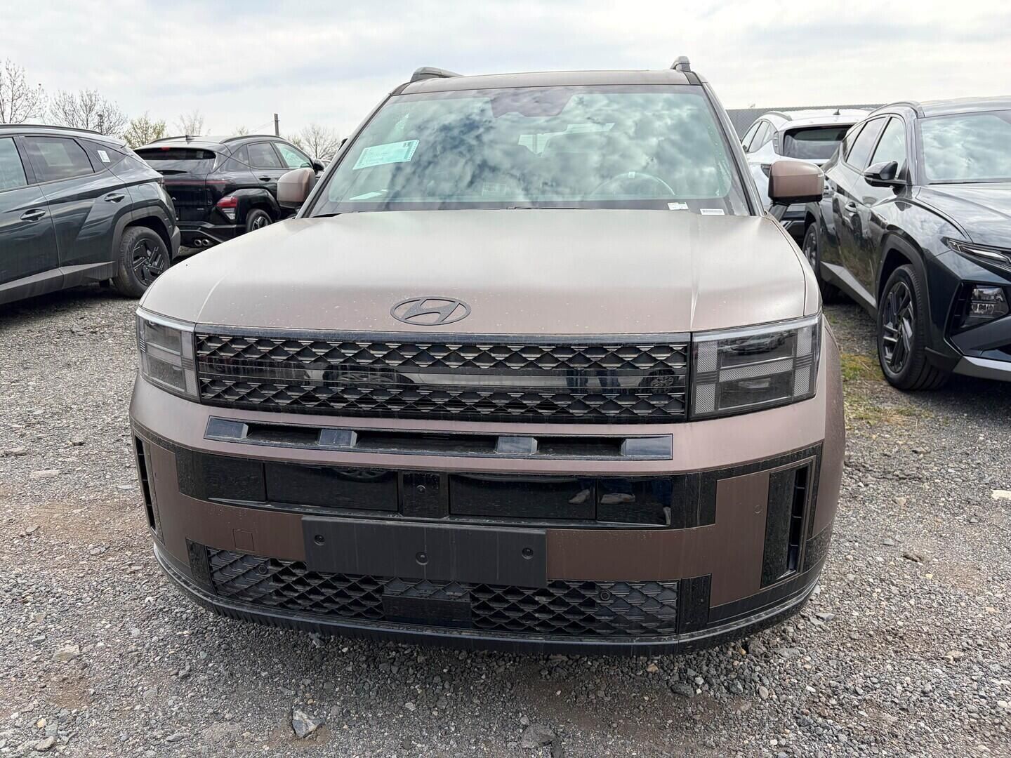 Hyundai Santa Fe, HEV MX5 Calligraphy 1,6 T-GDI - fotka 2