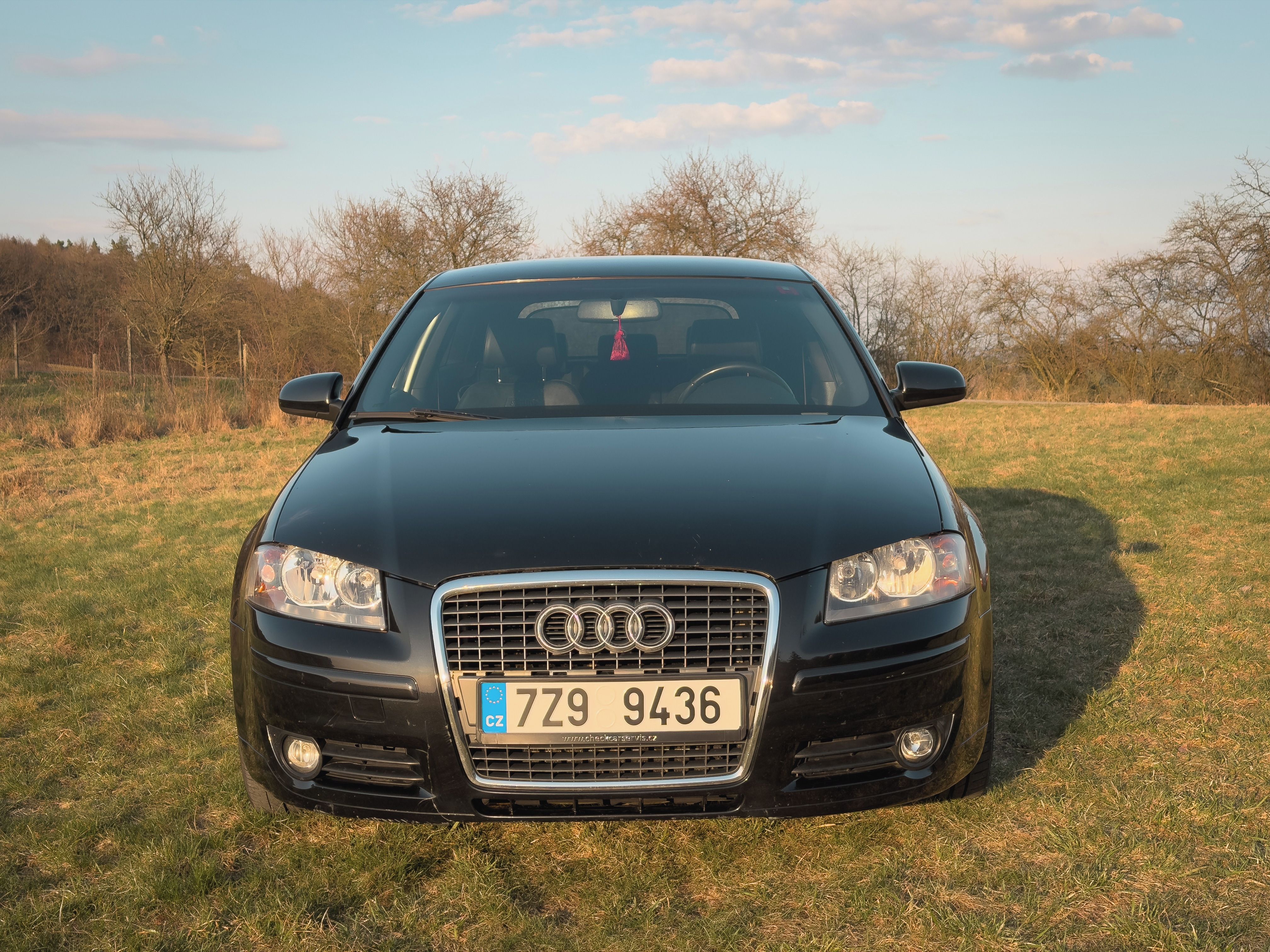 Audi A3, Audi A3 8P 2.0 TFSI 147kW 6MT - fotka 2