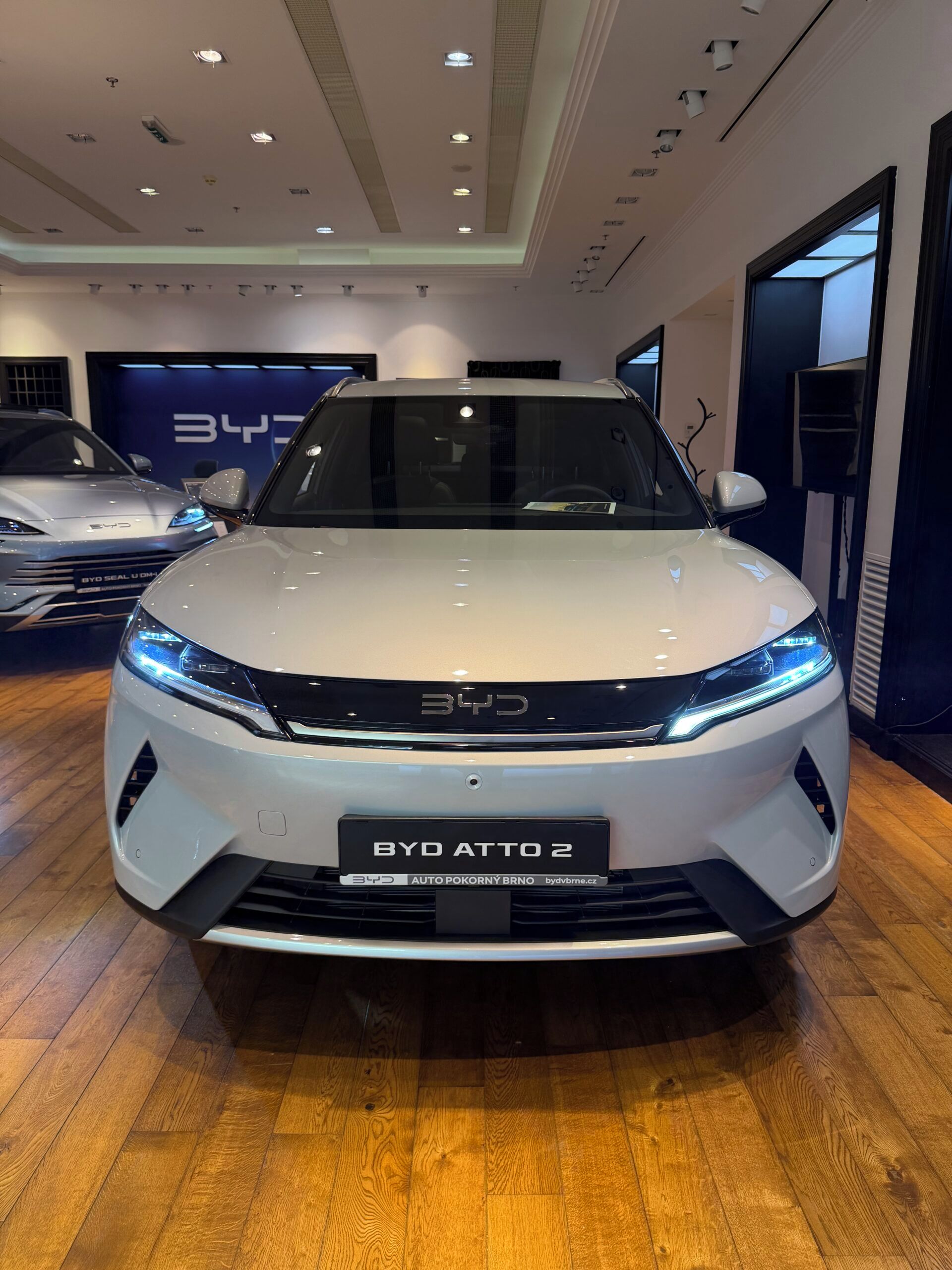 BYD ATTO 2, Boost - fotka 2