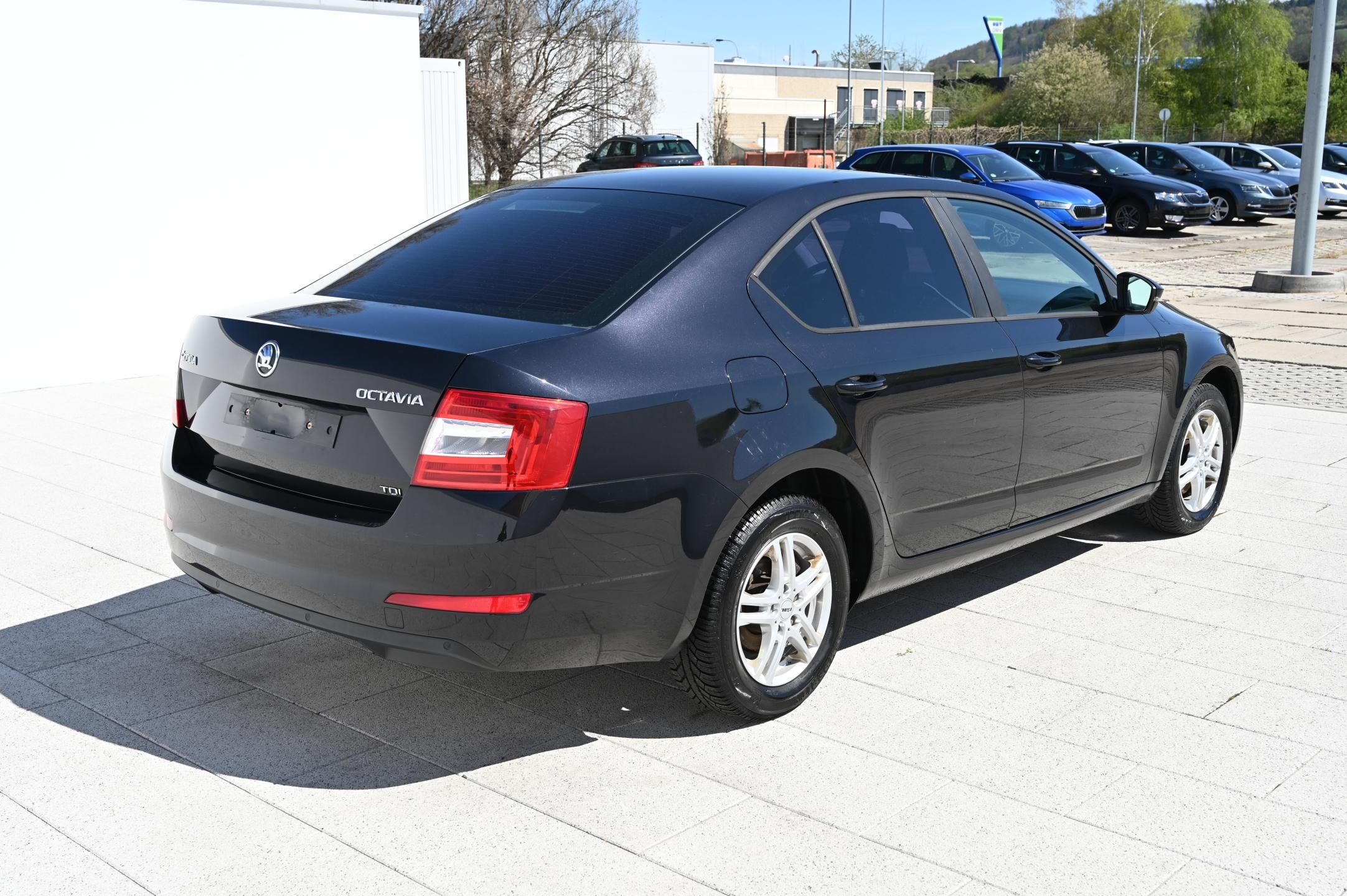 Škoda Octavia, 1.6TDI 77KW Ambition 1/2013 - fotka 5
