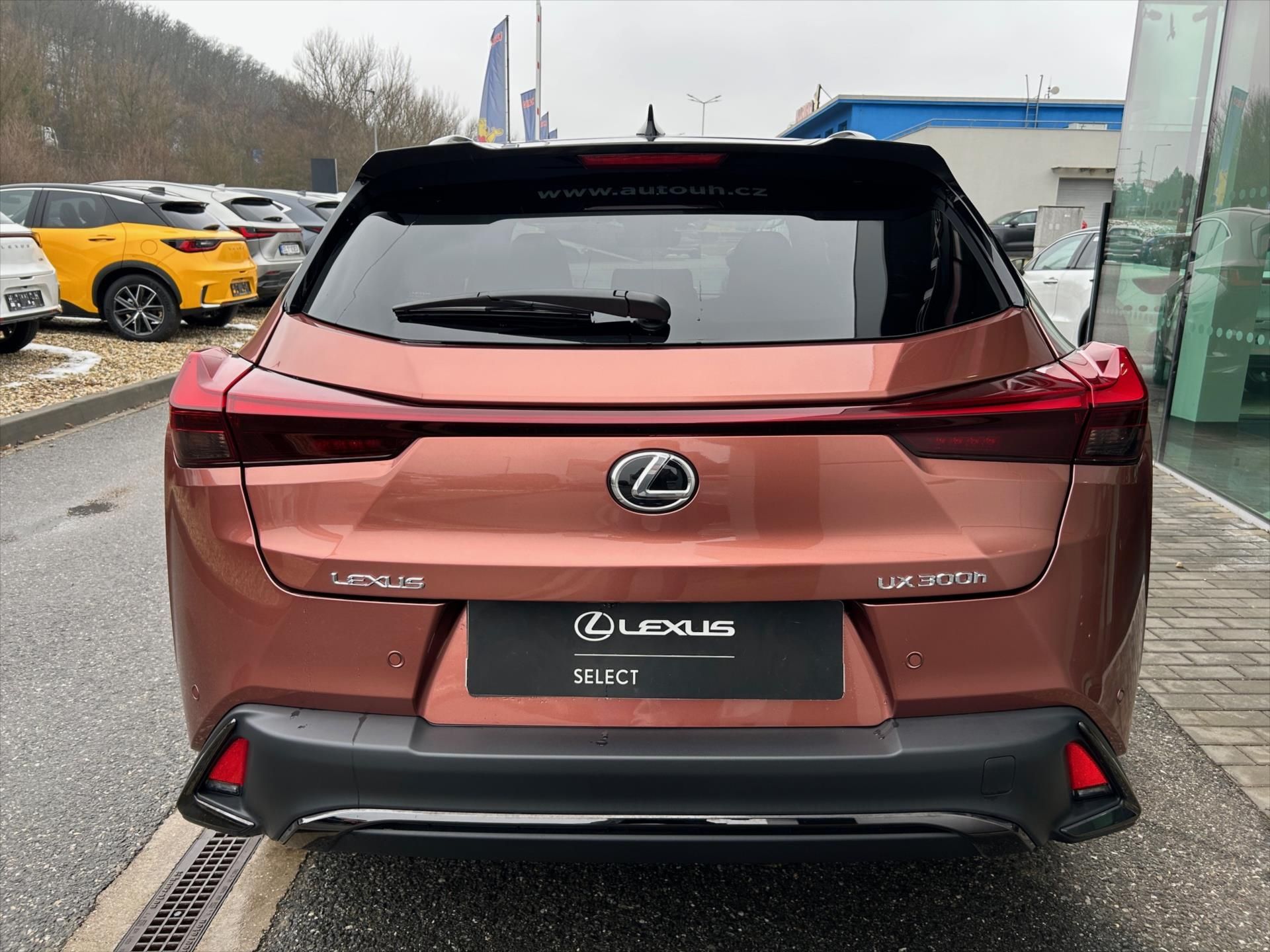 Lexus UX 300h, 2.0   F Sport Design Bi- Tone - fotka 5