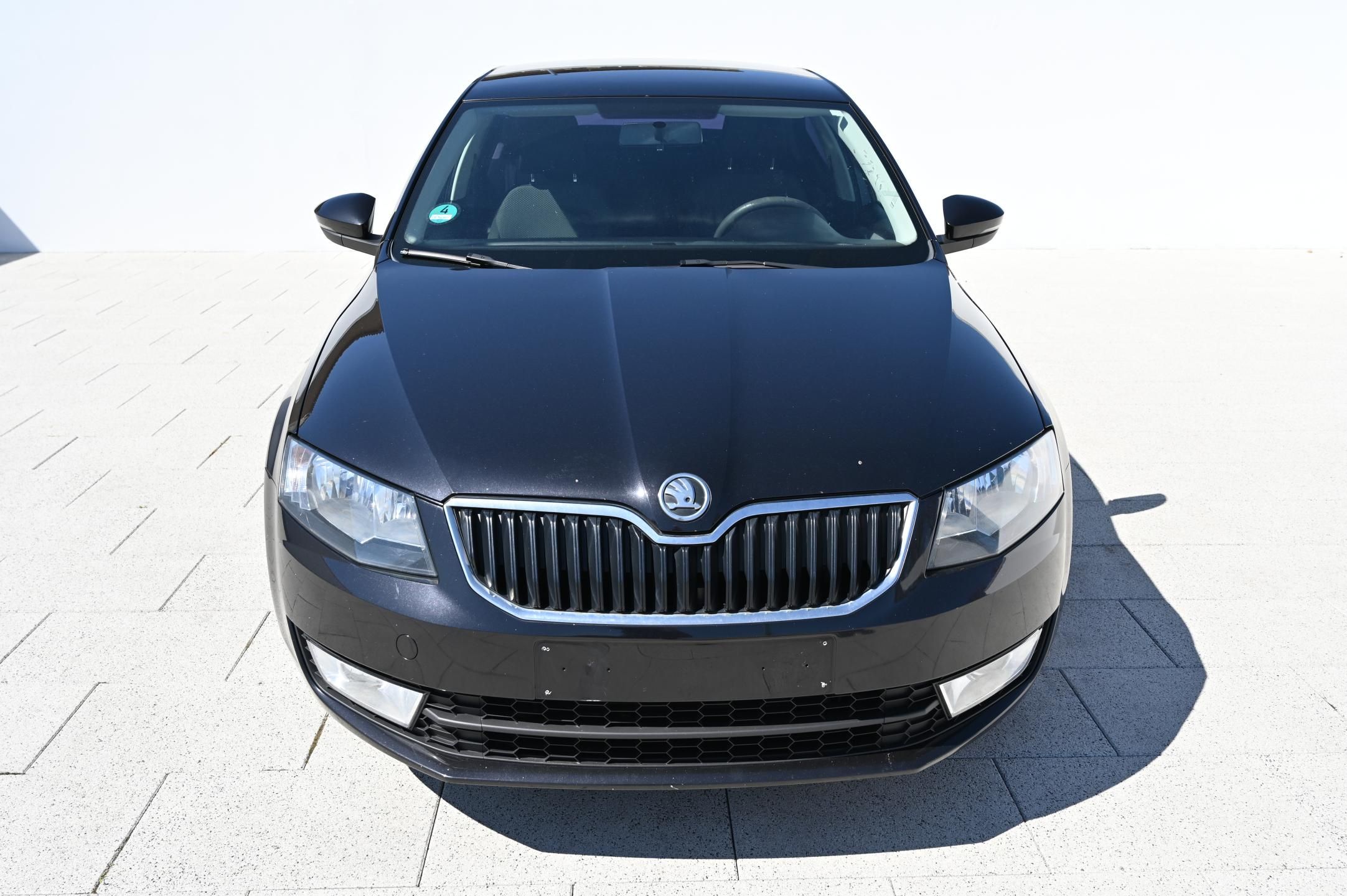 Škoda Octavia, 1.6TDI 77KW Ambition 1/2013 - fotka 2