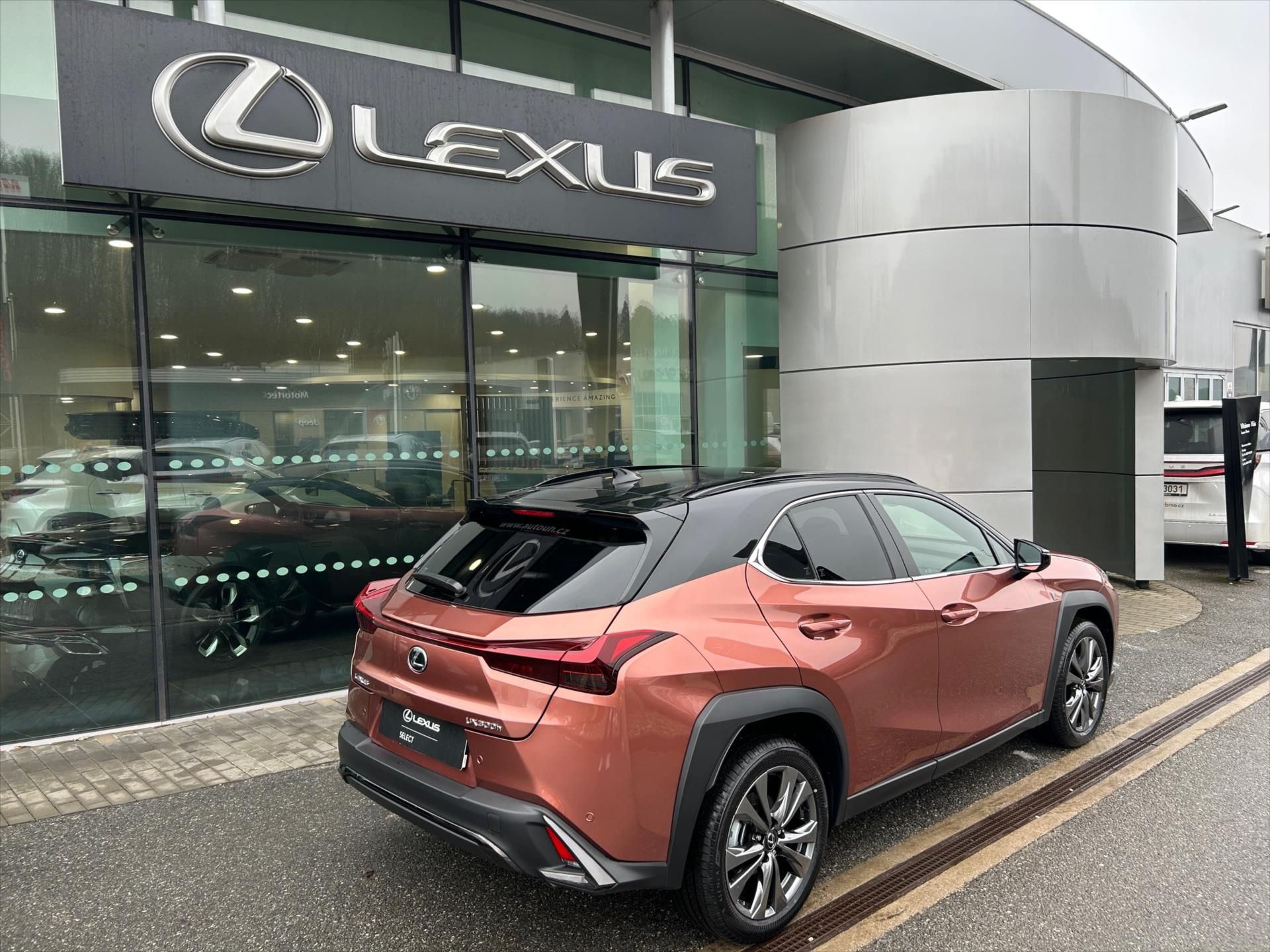 Lexus UX 300h, 2.0   F Sport Design Bi- Tone - fotka 6