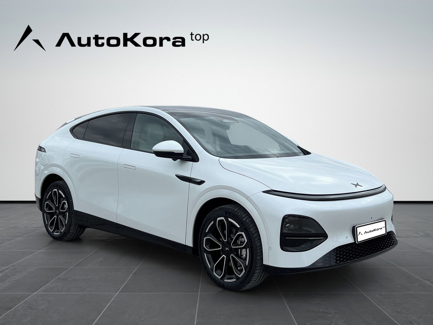 XPENG G6, AWD Performance, 358kW