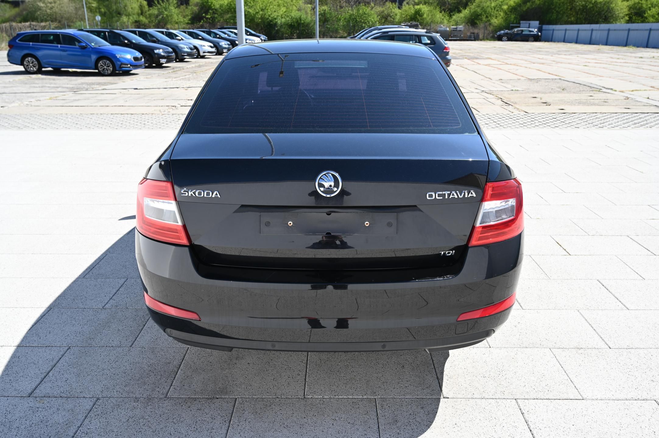 Škoda Octavia, 1.6TDI 77KW Ambition 1/2013 - fotka 6