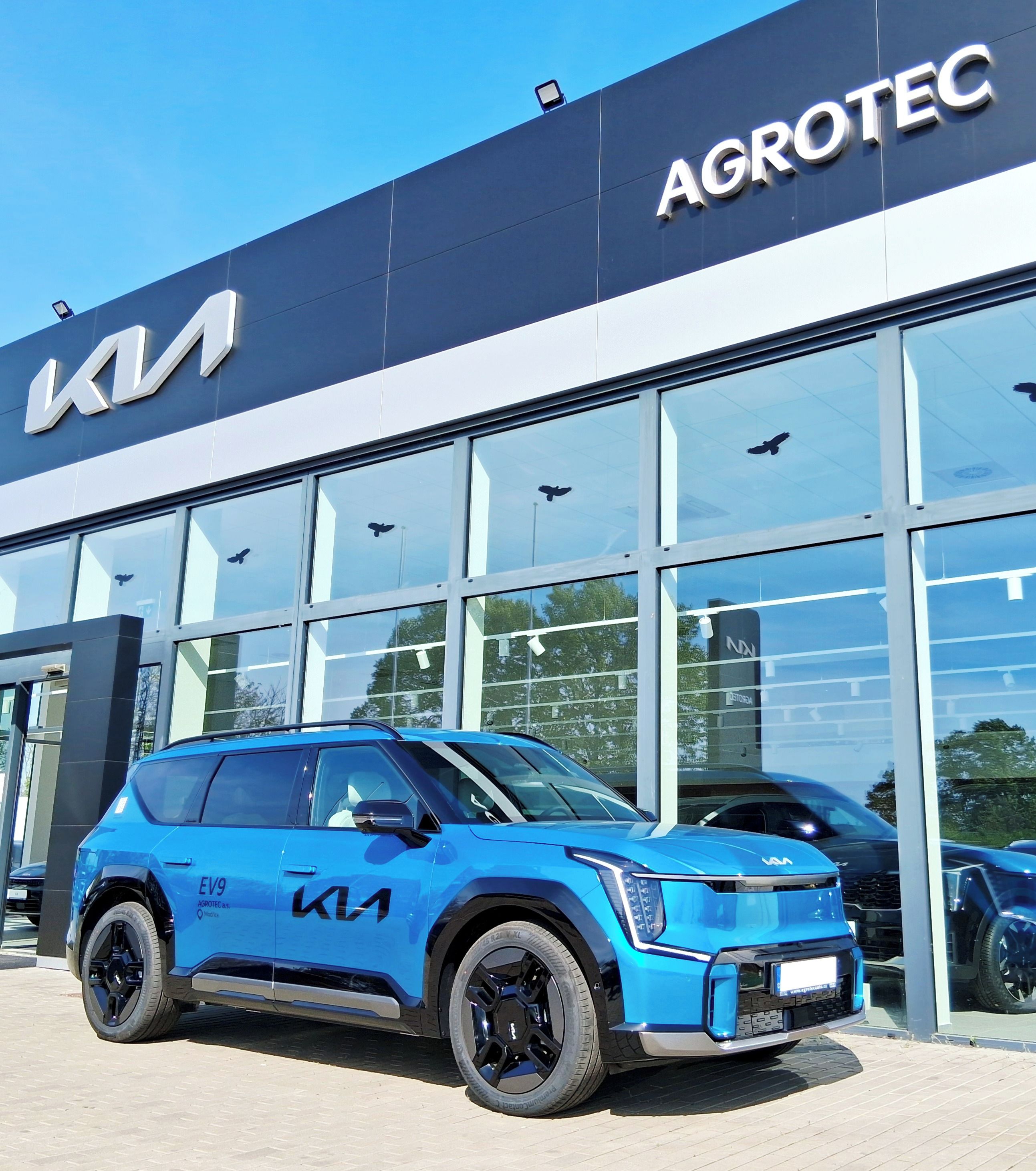 Kia EV9, EV 239 kW