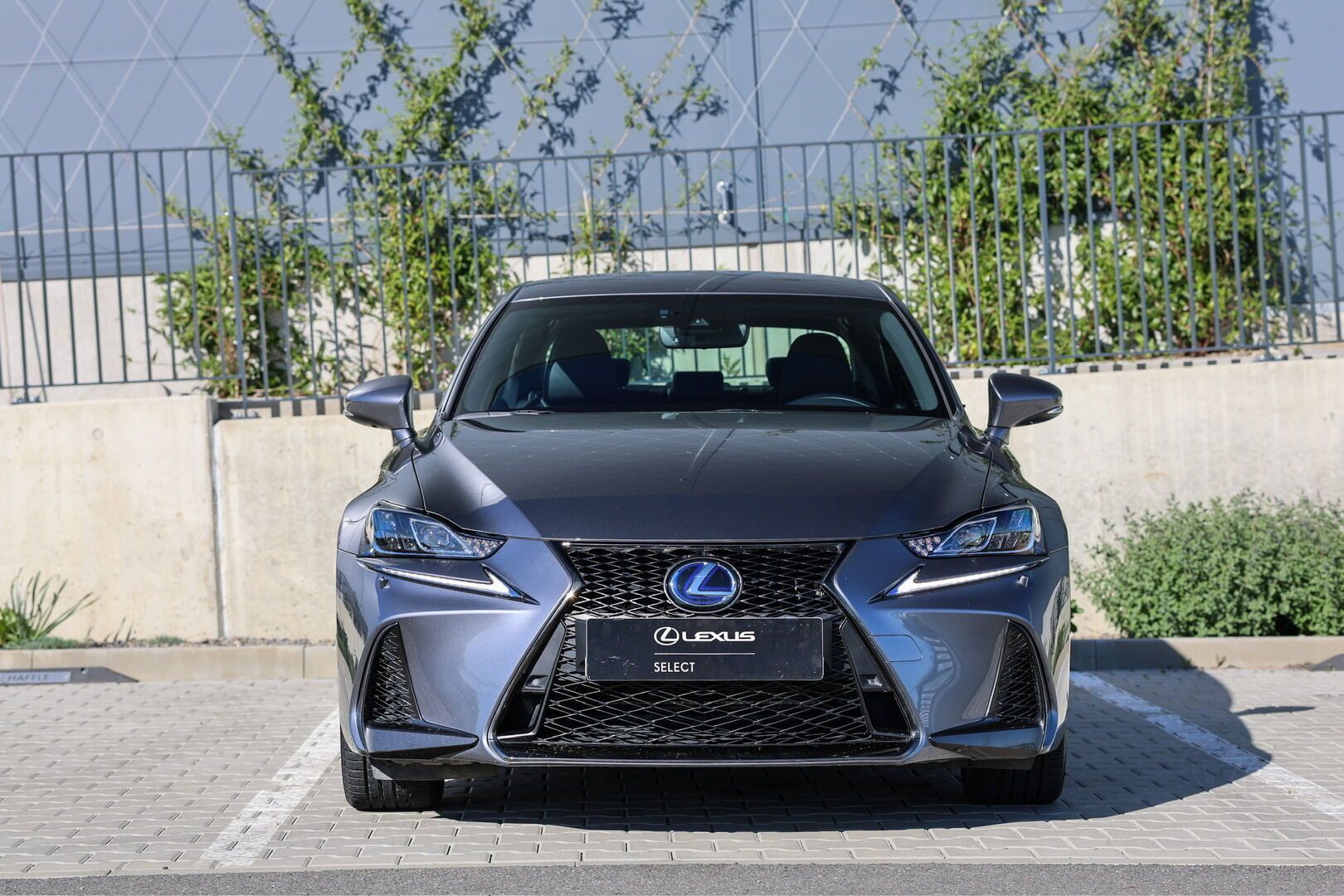 Lexus IS, 300h  2,5 HEV F SPORT - fotka 3