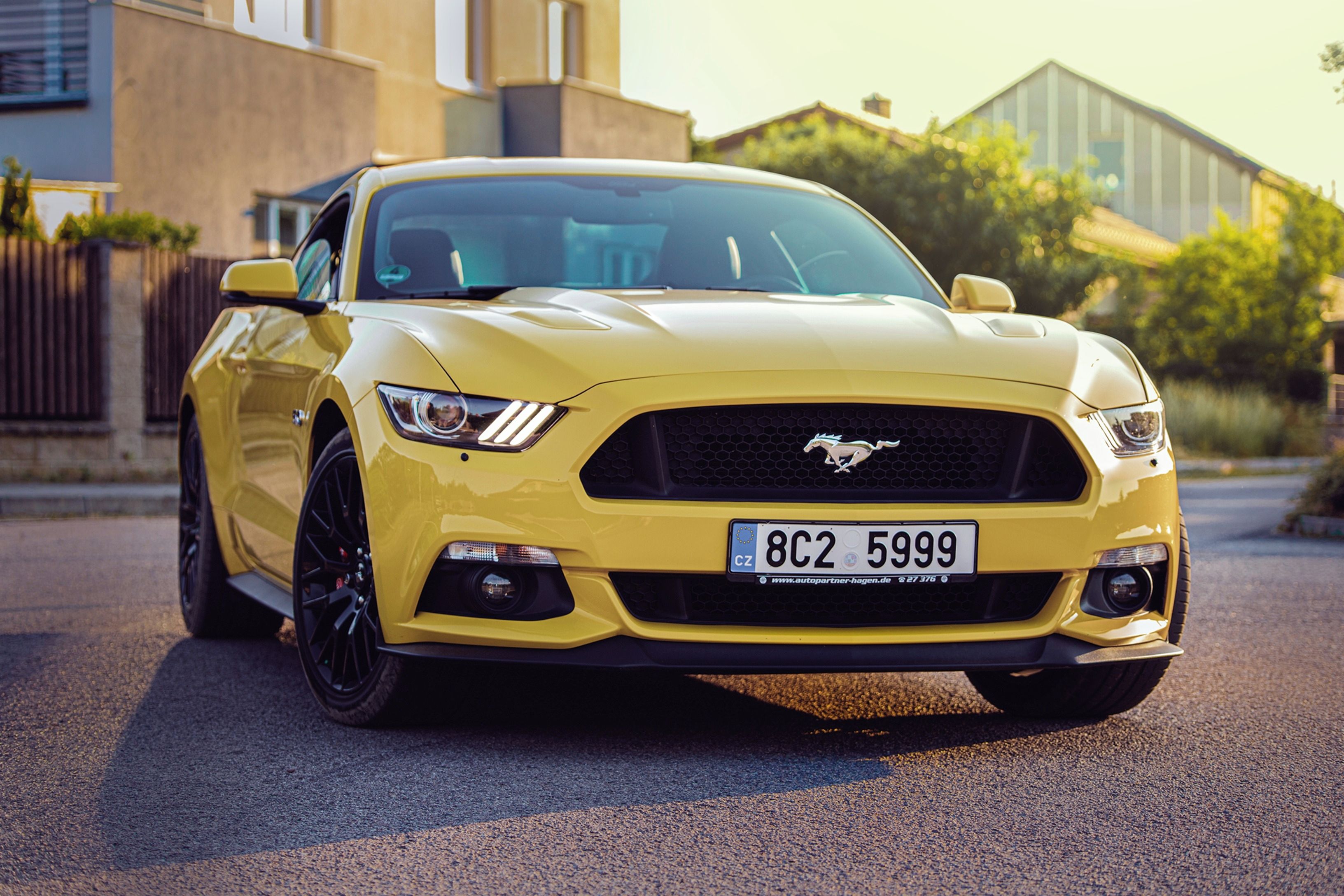 Ford Mustang, Nádherný Mustang Performance P