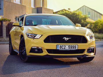 Nádherný Mustang Performance P