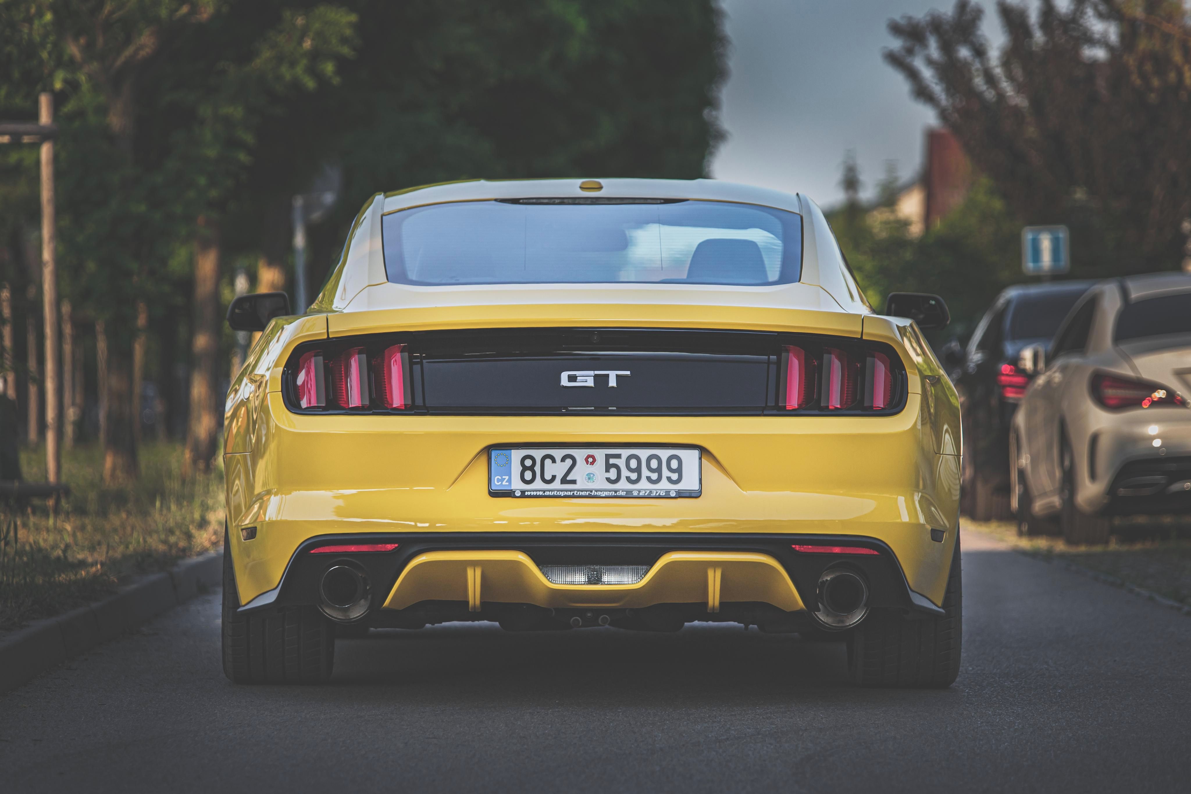 Ford Mustang, Nádherný Mustang Performance P - fotka 2