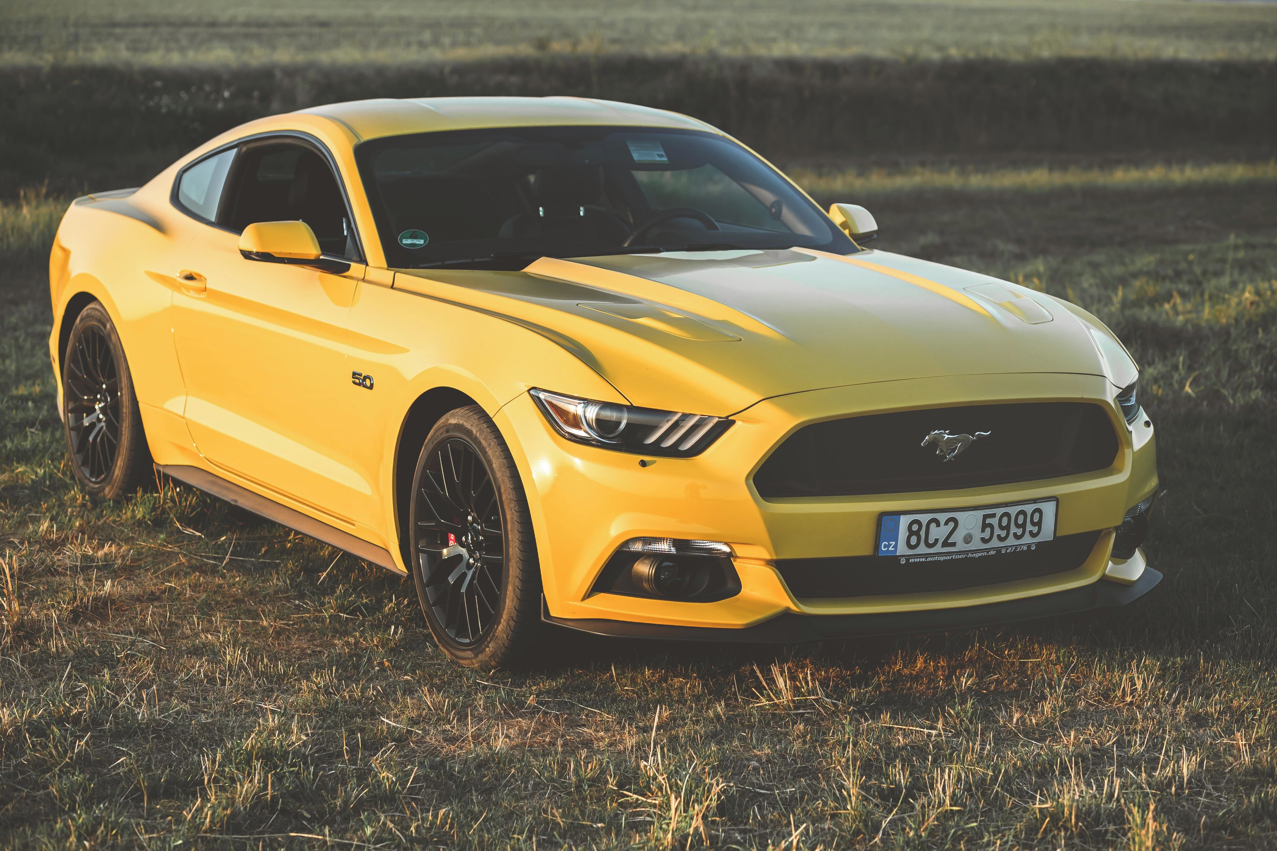 Ford Mustang, Nádherný Mustang Performance P - fotka 3