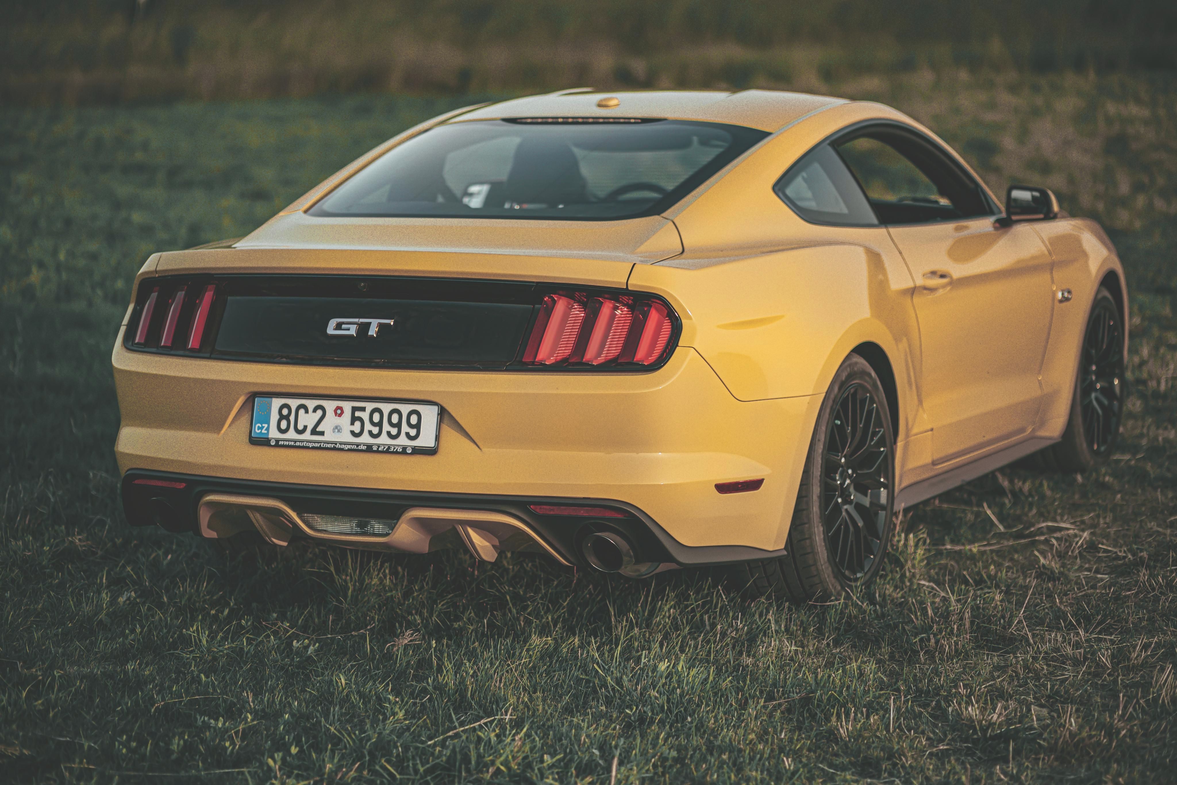 Ford Mustang, Nádherný Mustang Performance P - fotka 5