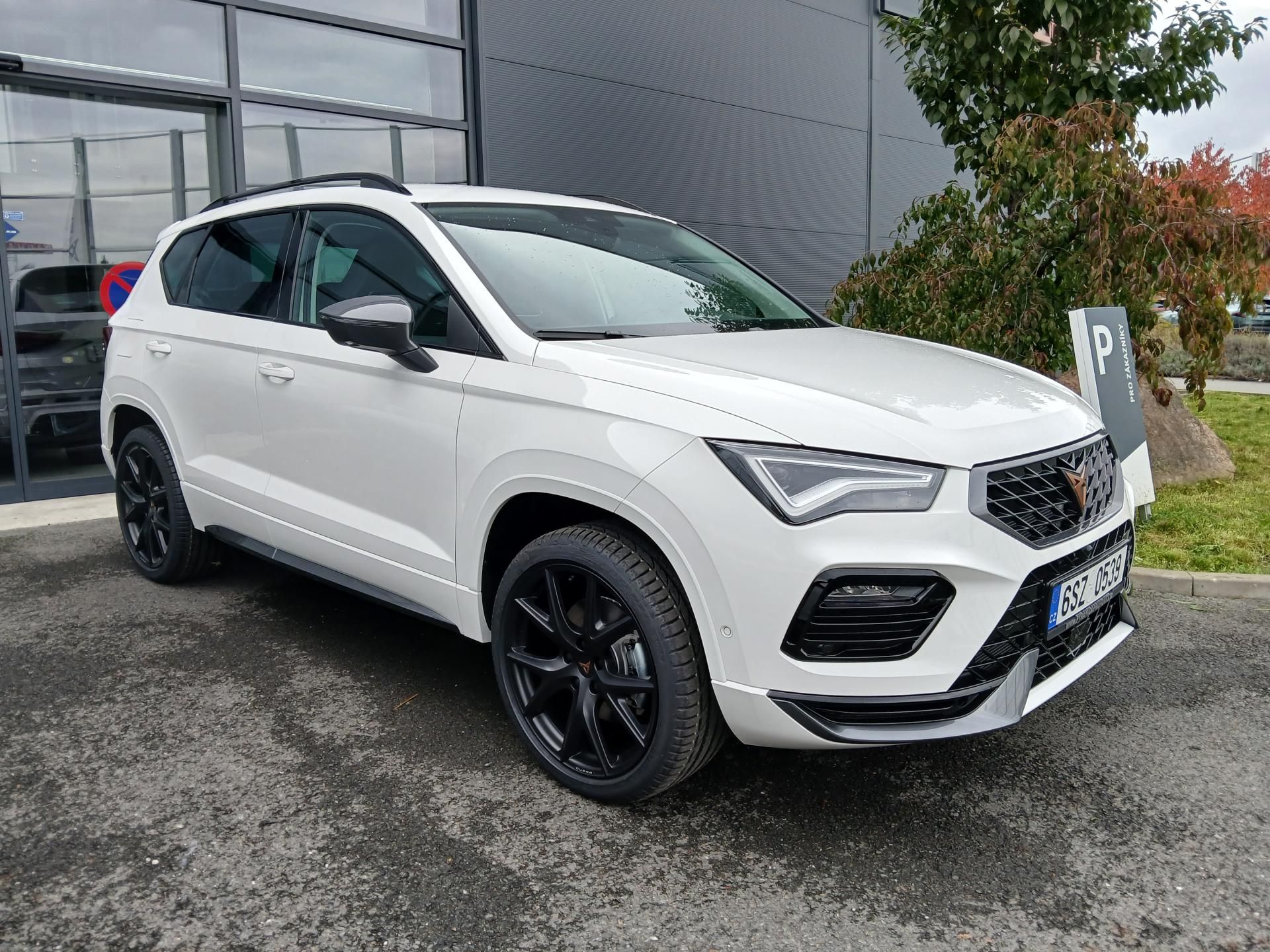 Cupra Ateca, 1.5 TSi 110kW/150k DSG-7 - fotka 2