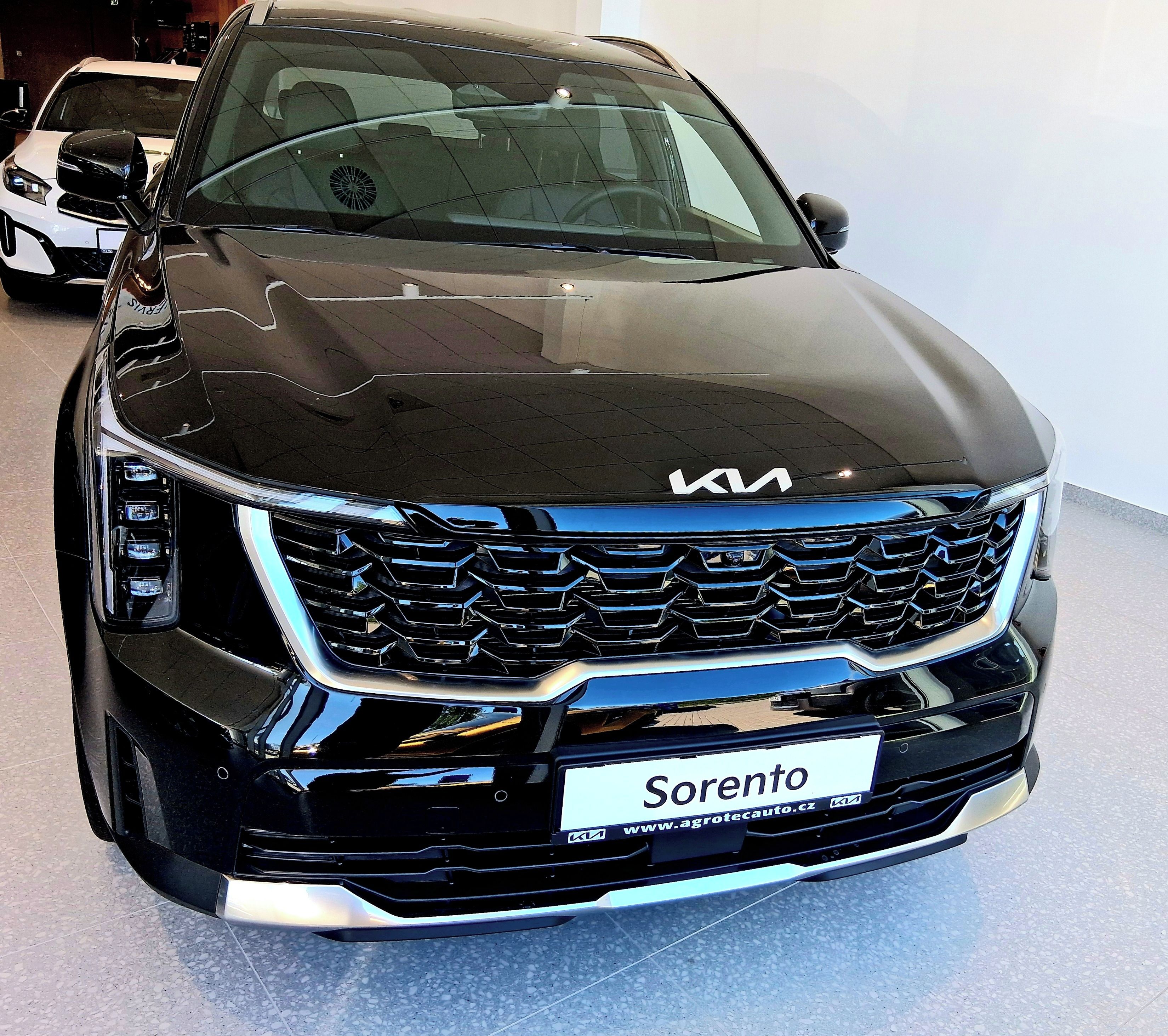 Kia Sorento, 2,2 CRDi 143 kW 4x4 8DCT TOP - fotka 2