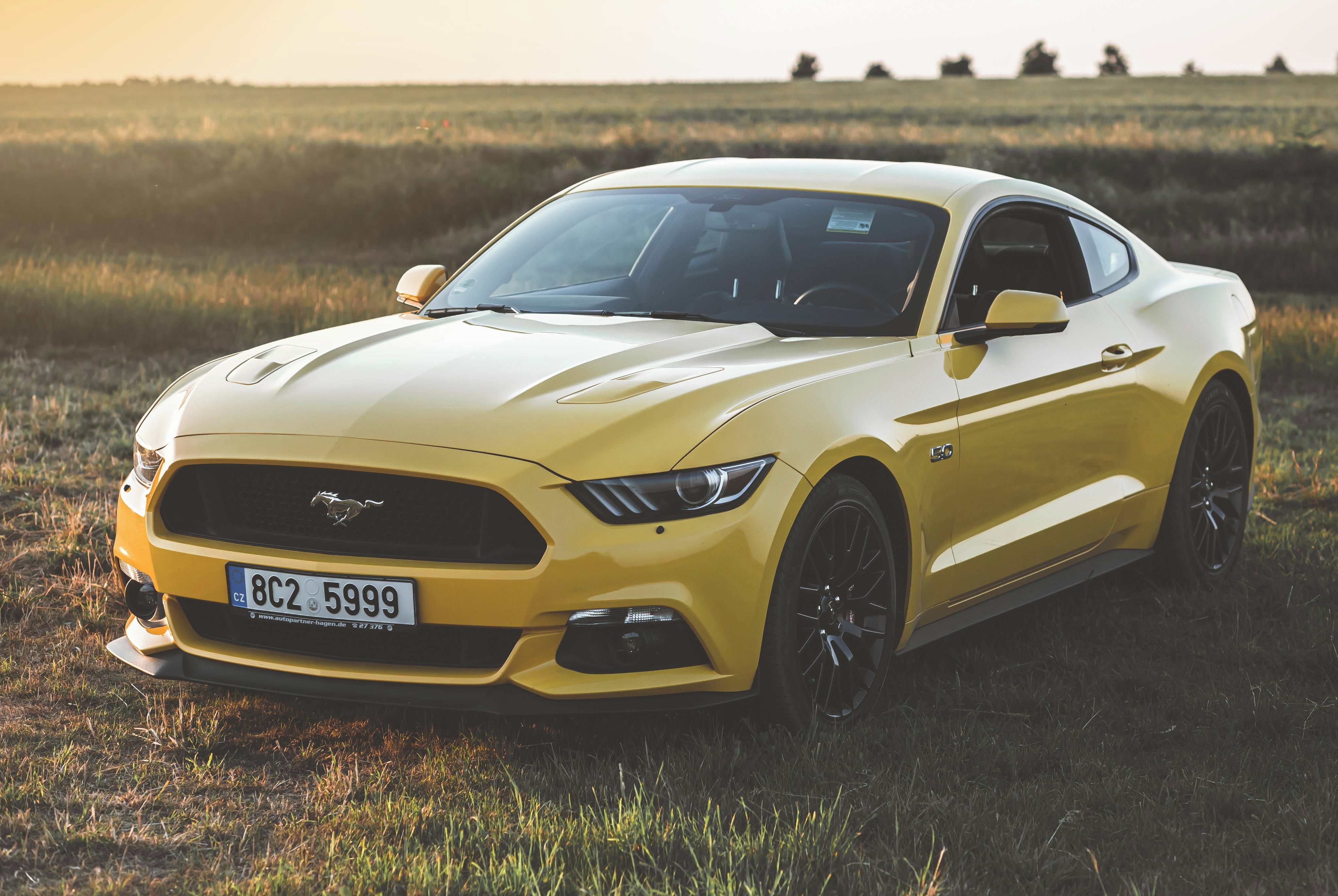Ford Mustang, Nádherný Mustang Performance P - fotka 4