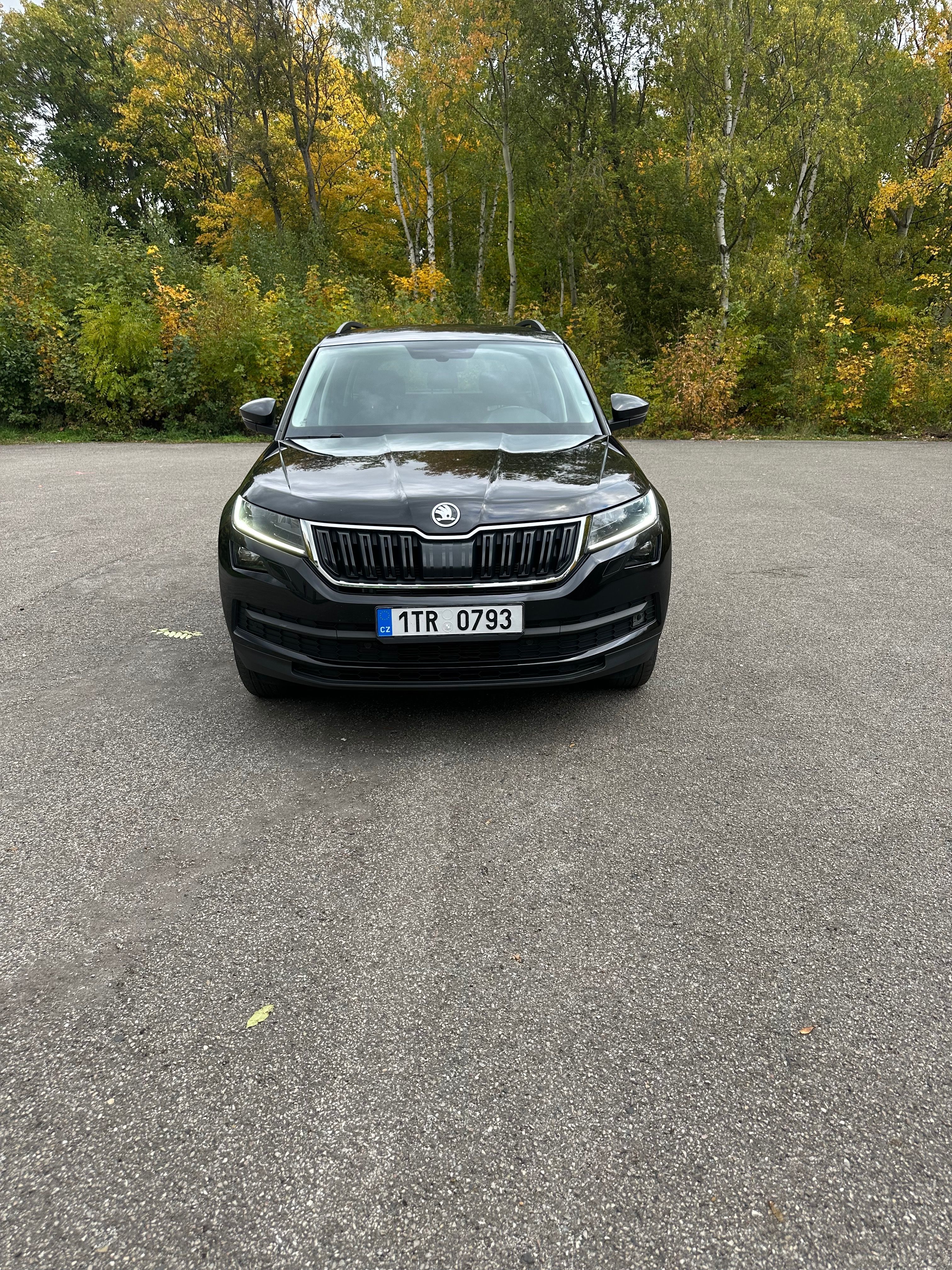 Škoda Kodiaq - fotka 2