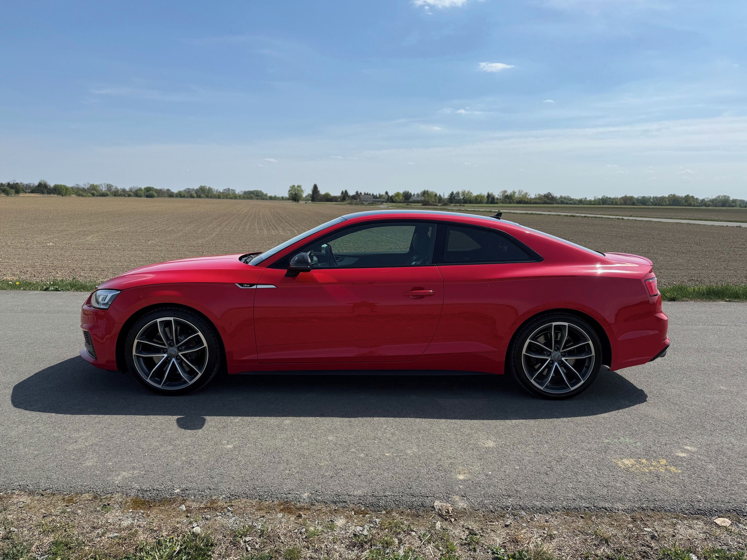 Audi S5, 3.0TFSI 260kW DPH 1. Maj. - fotka 6