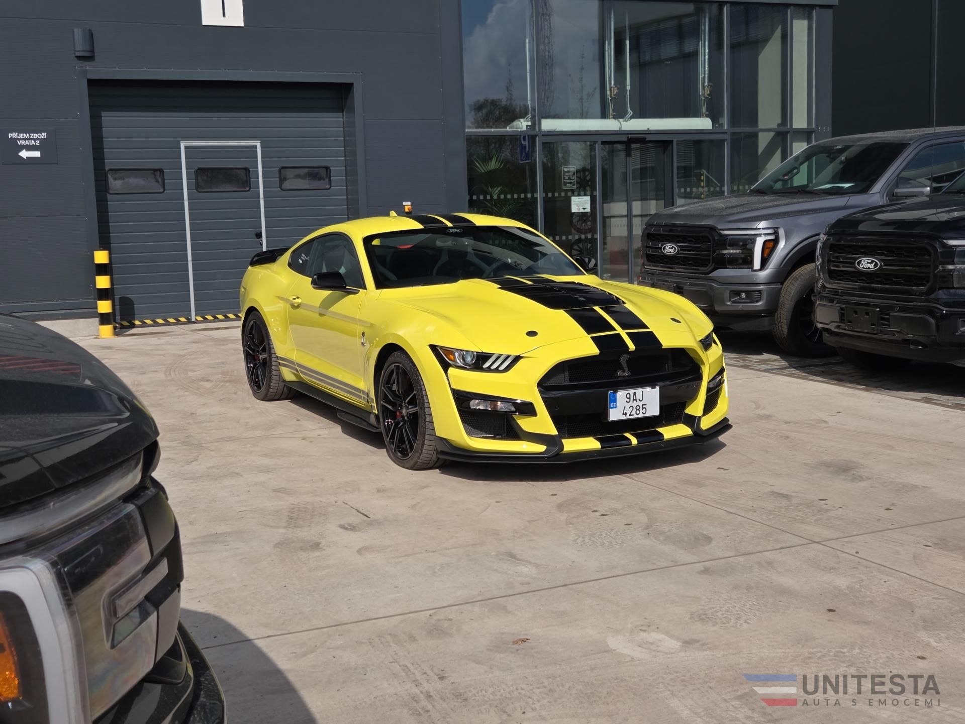 Ford Mustang - fotka 3
