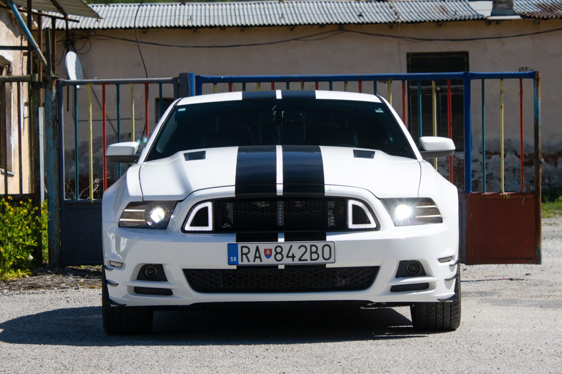 Ford Mustang - fotka 2