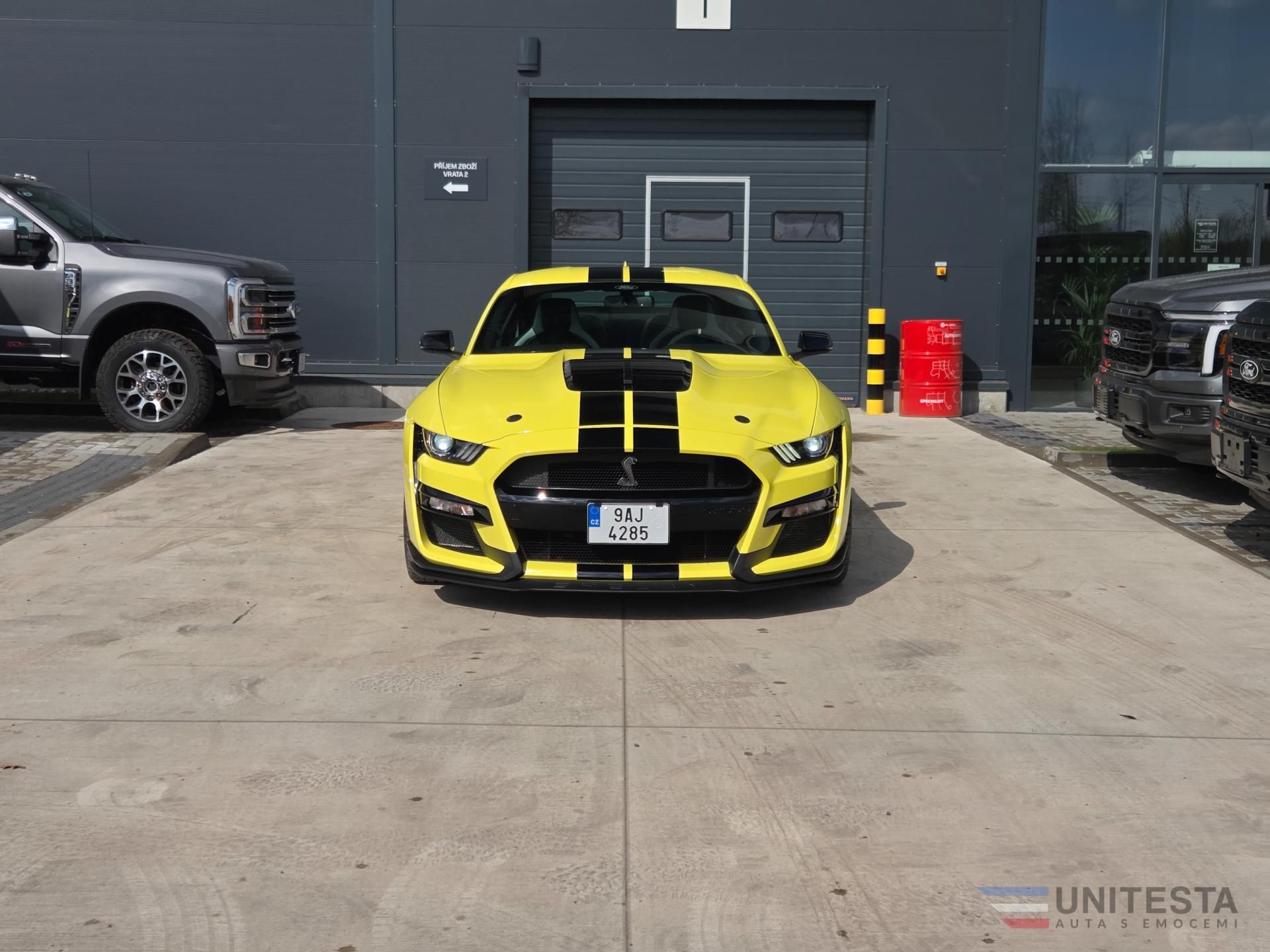 Ford Mustang - fotka 2