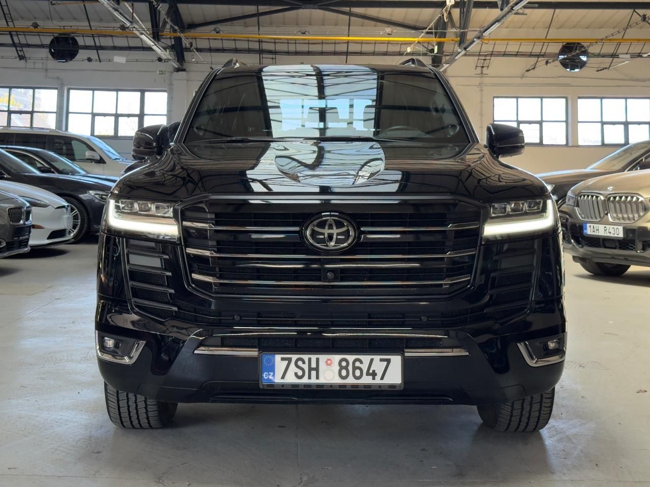 Toyota Land Cruiser, Toyota Land Cruiser 300 3.3D - fotka 3