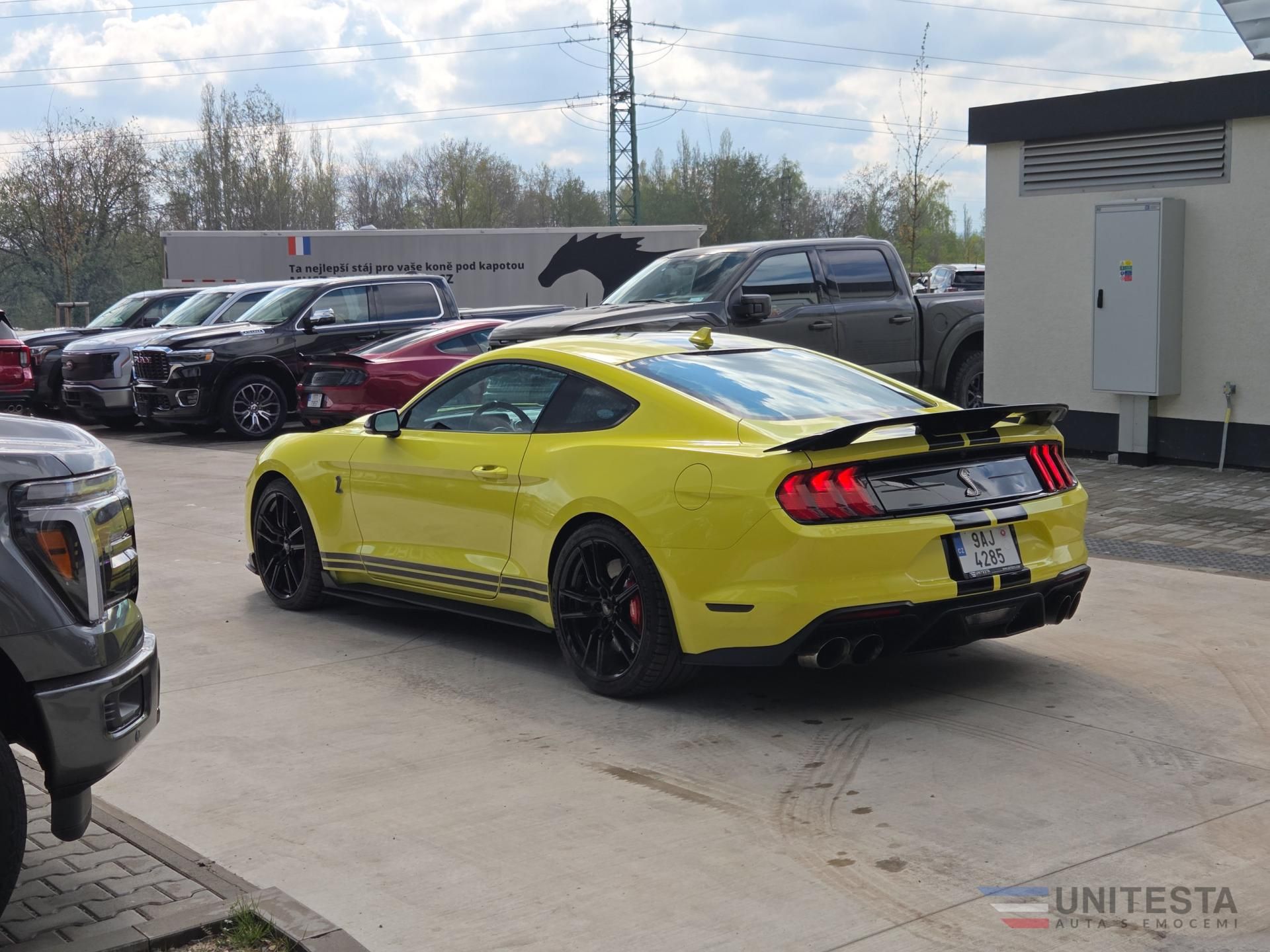 Ford Mustang - fotka 6